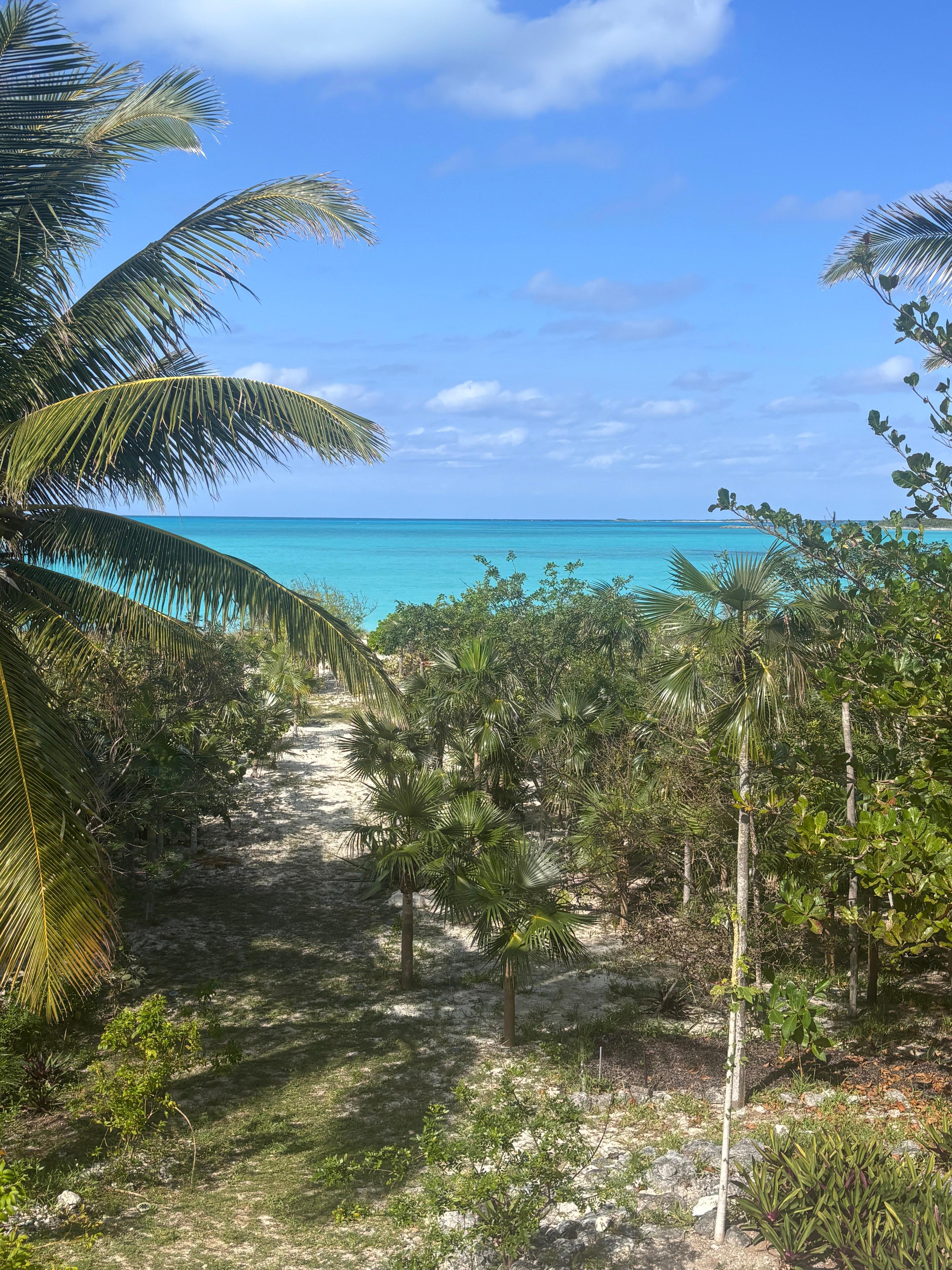 View from deck with path down to the beach. A little steep near the villa for an old guy. 