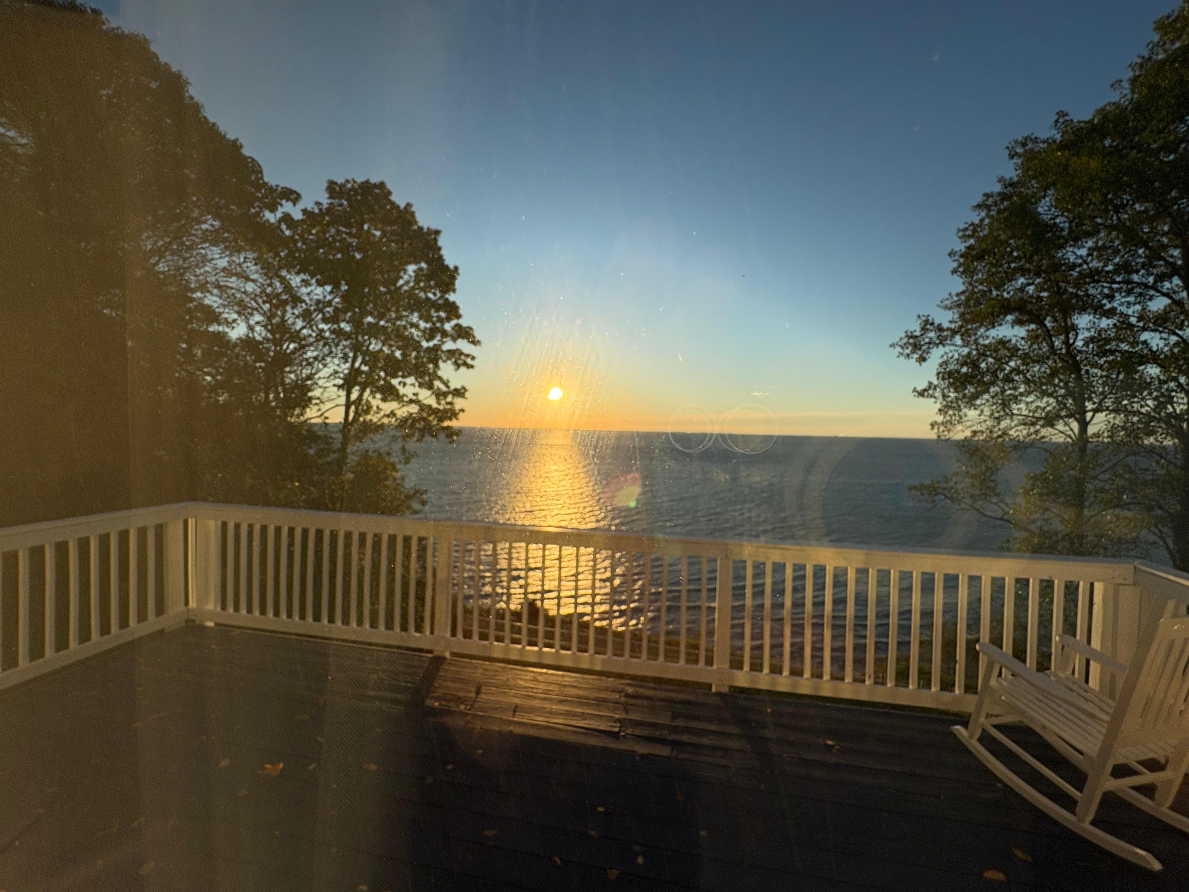 View from the backyard