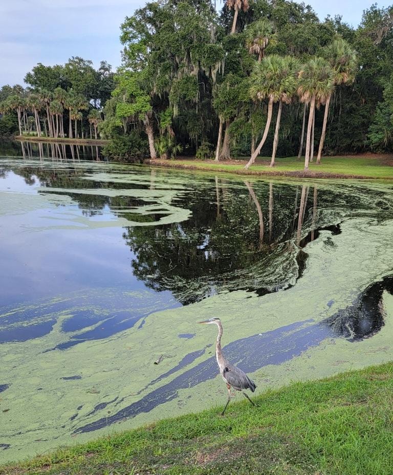 Scenic views throughout the complex. 