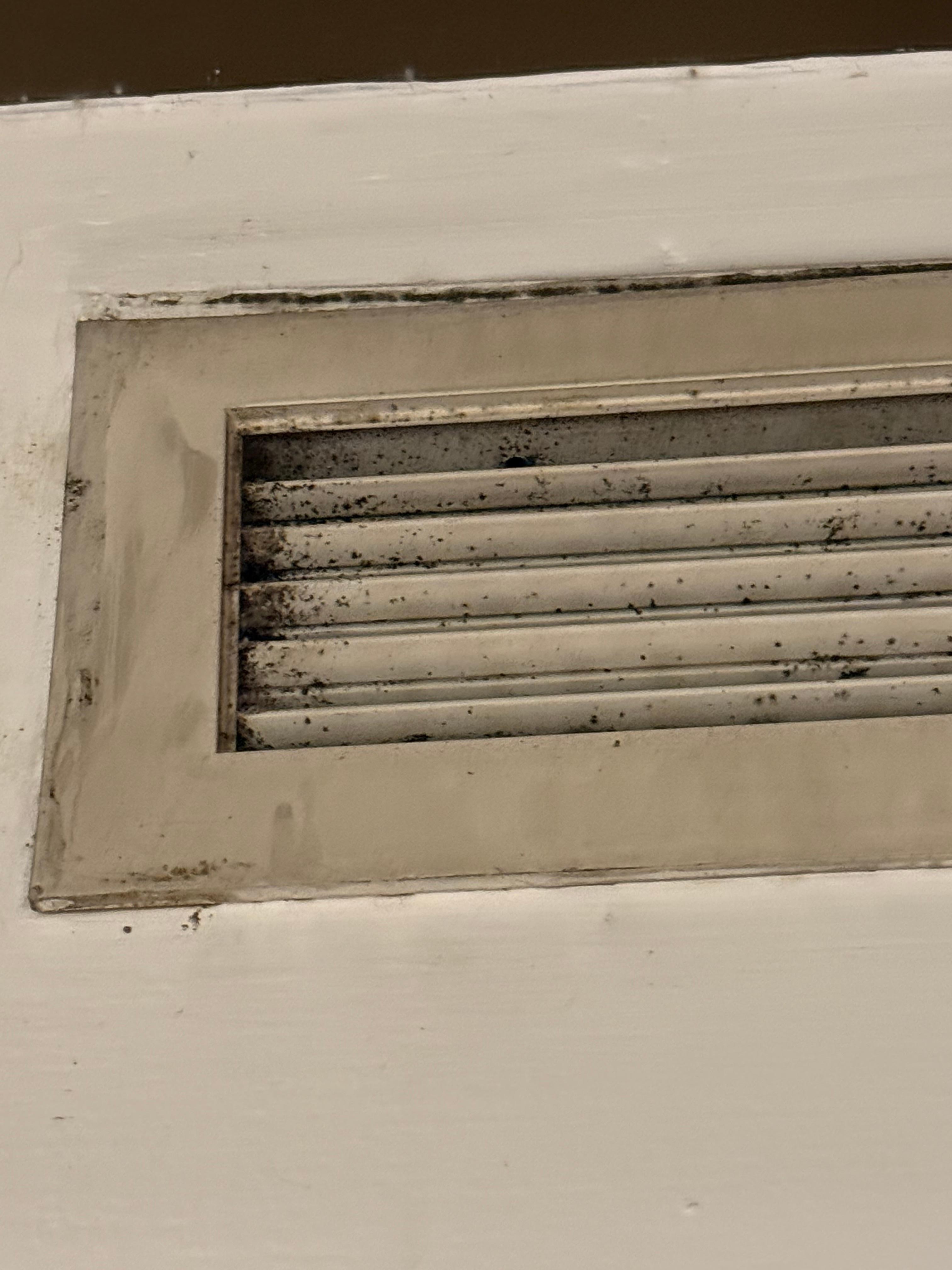 Mold on vents.