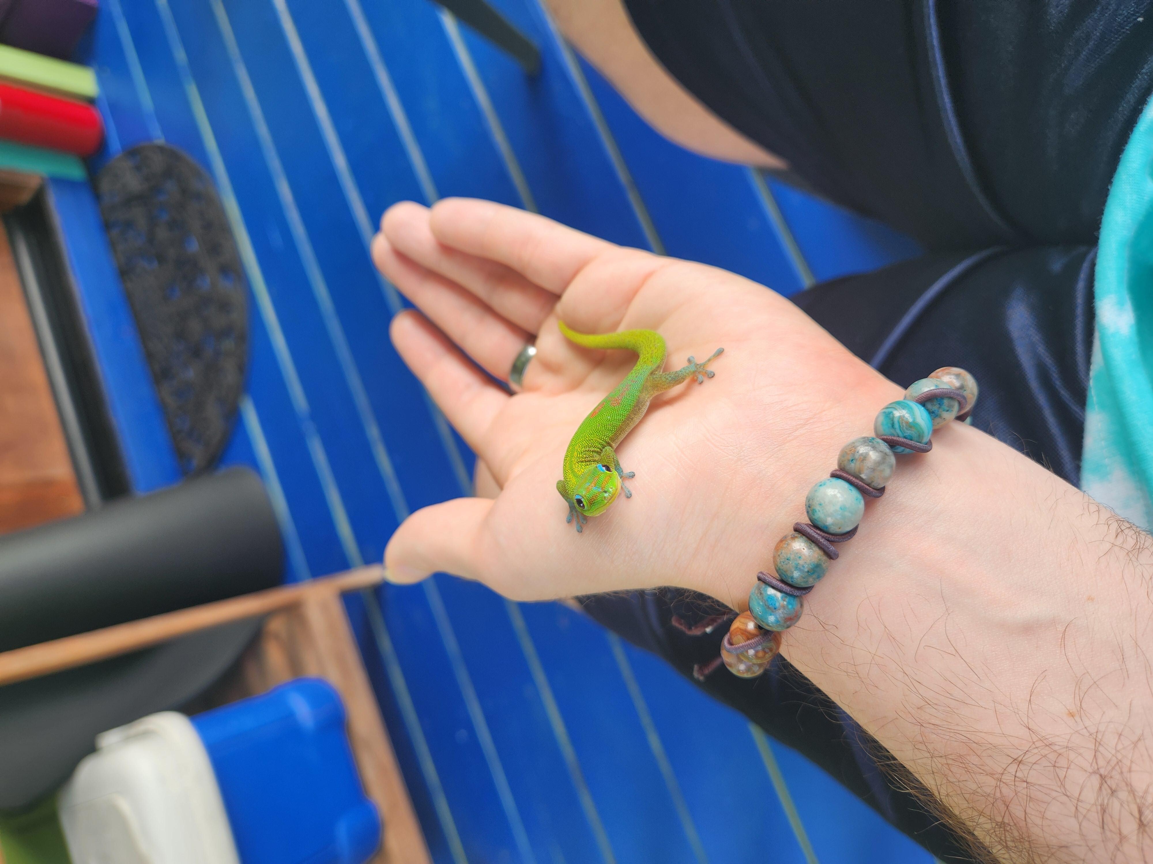 Can I interest you in a great deal with GEICO, we can see you a ton on your car insurance!
