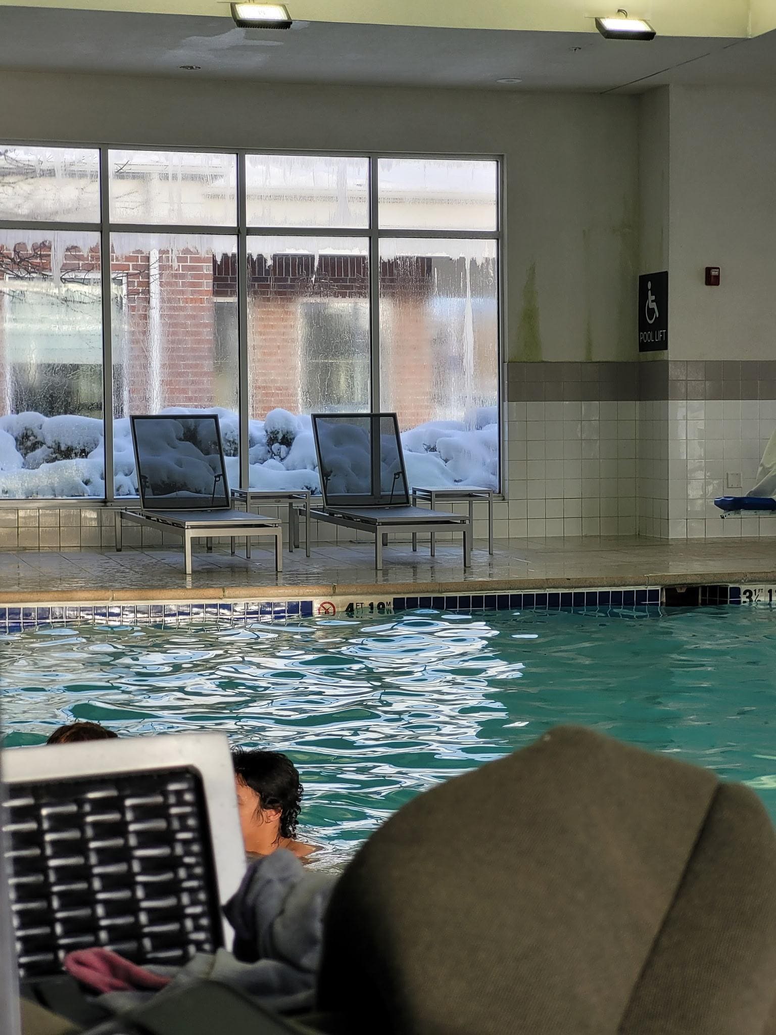 Mold and algae on walls