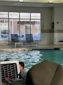 Mold and algae on walls