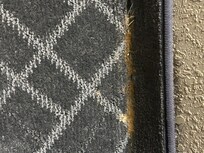 Something gross on the carpeting.