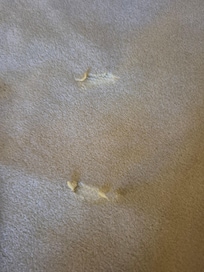Holes in the blanket