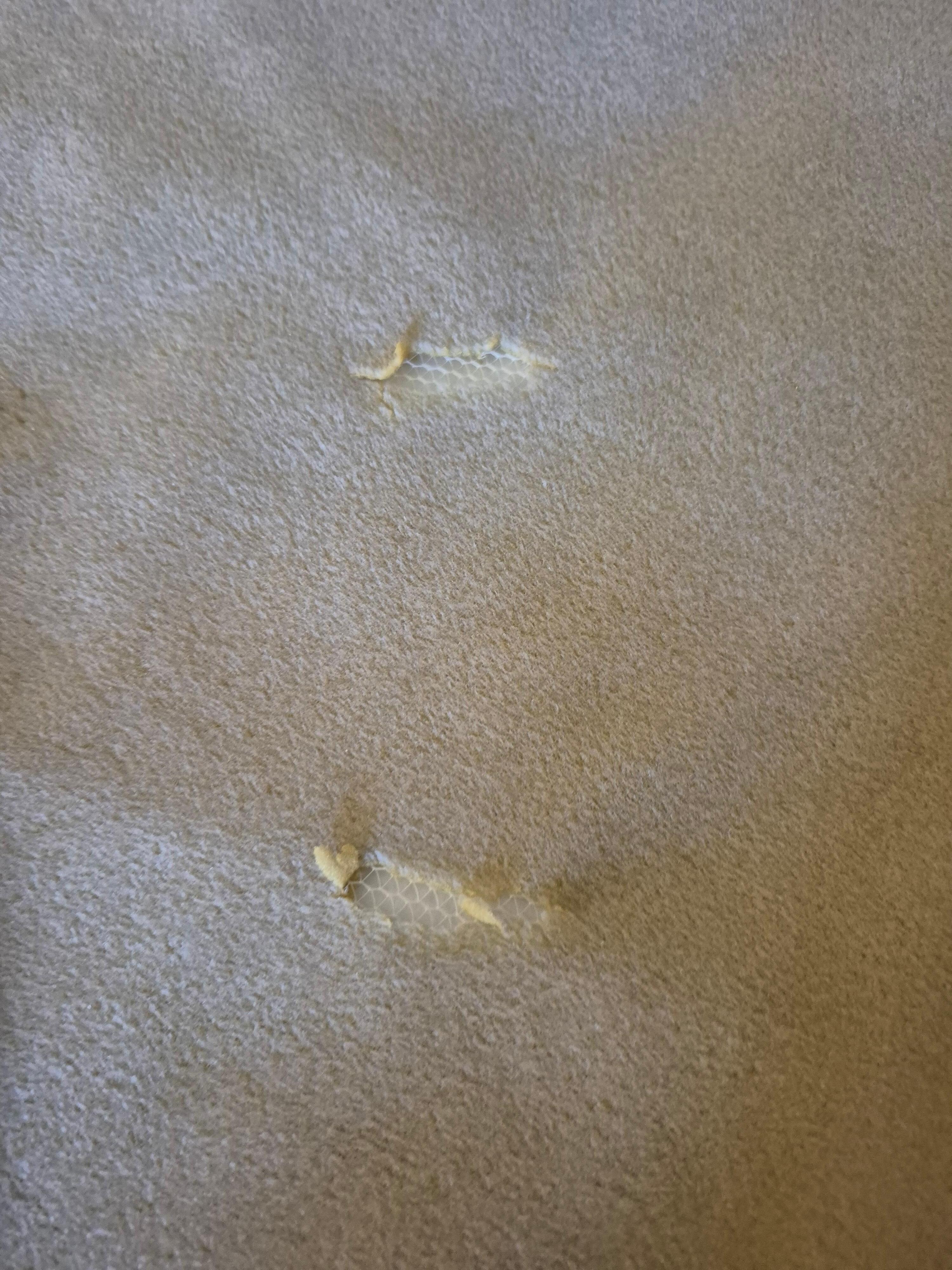Holes in the blanket