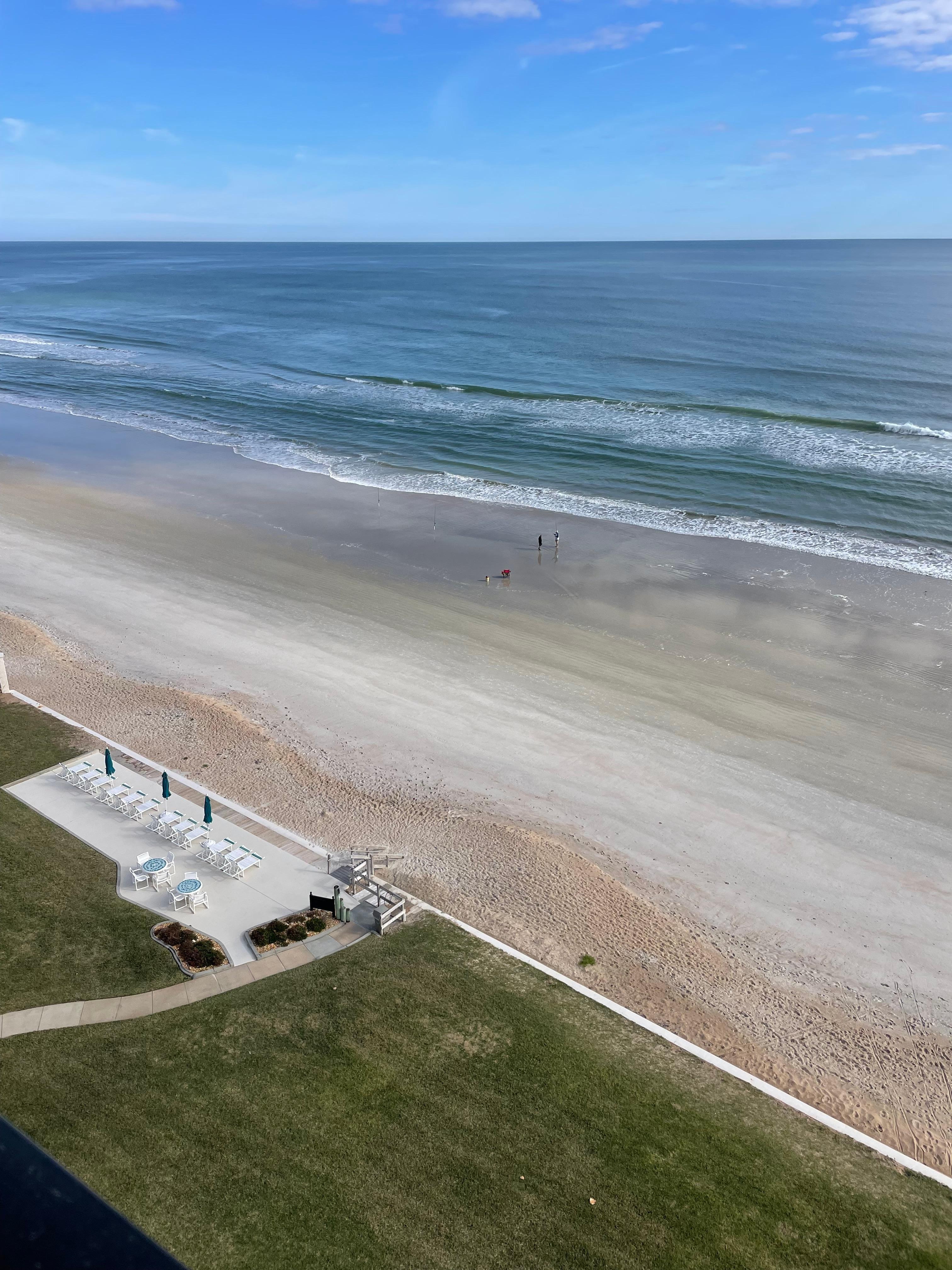 View from the patio looking North. 
