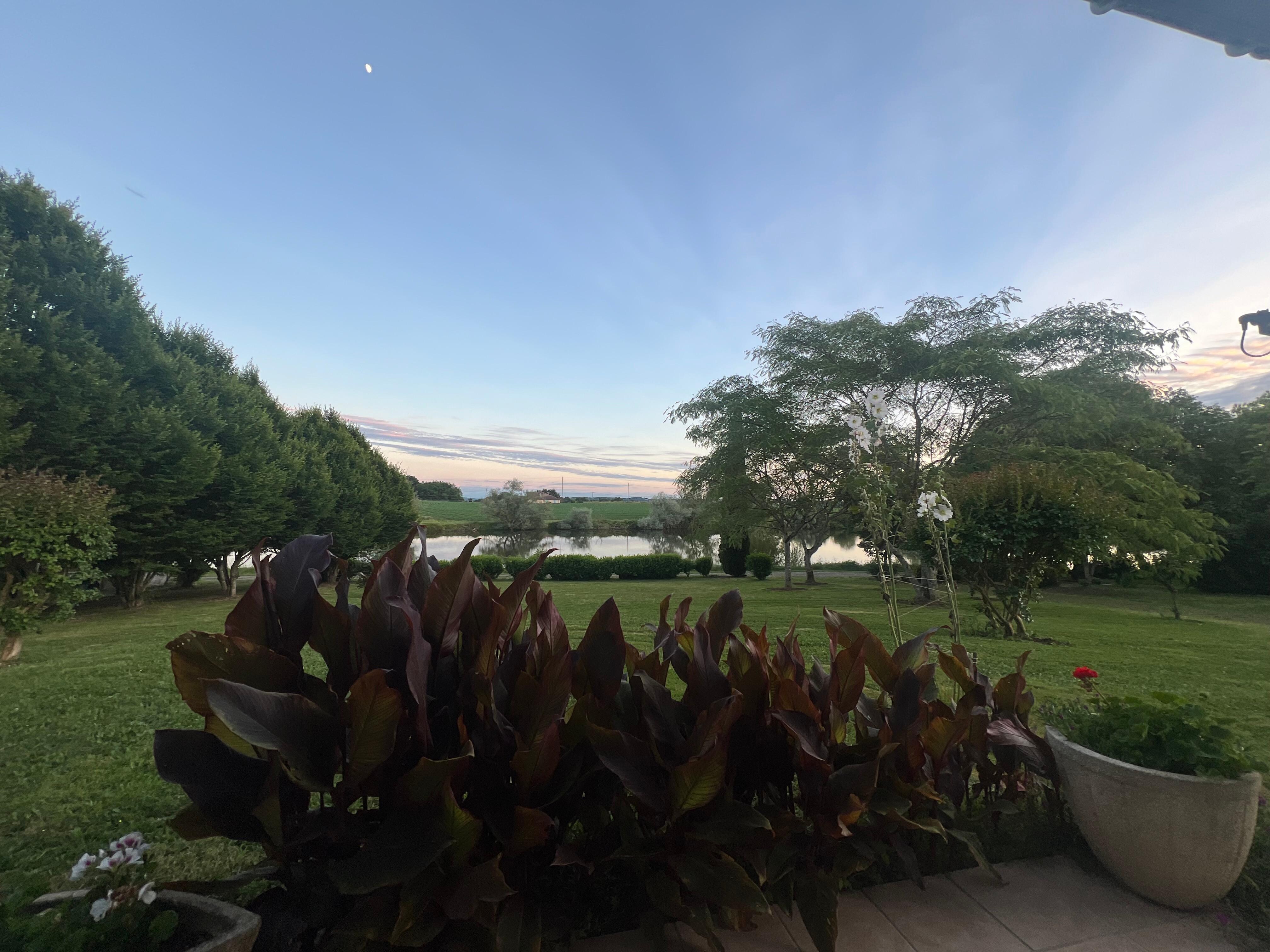 Depuis la terrasse 