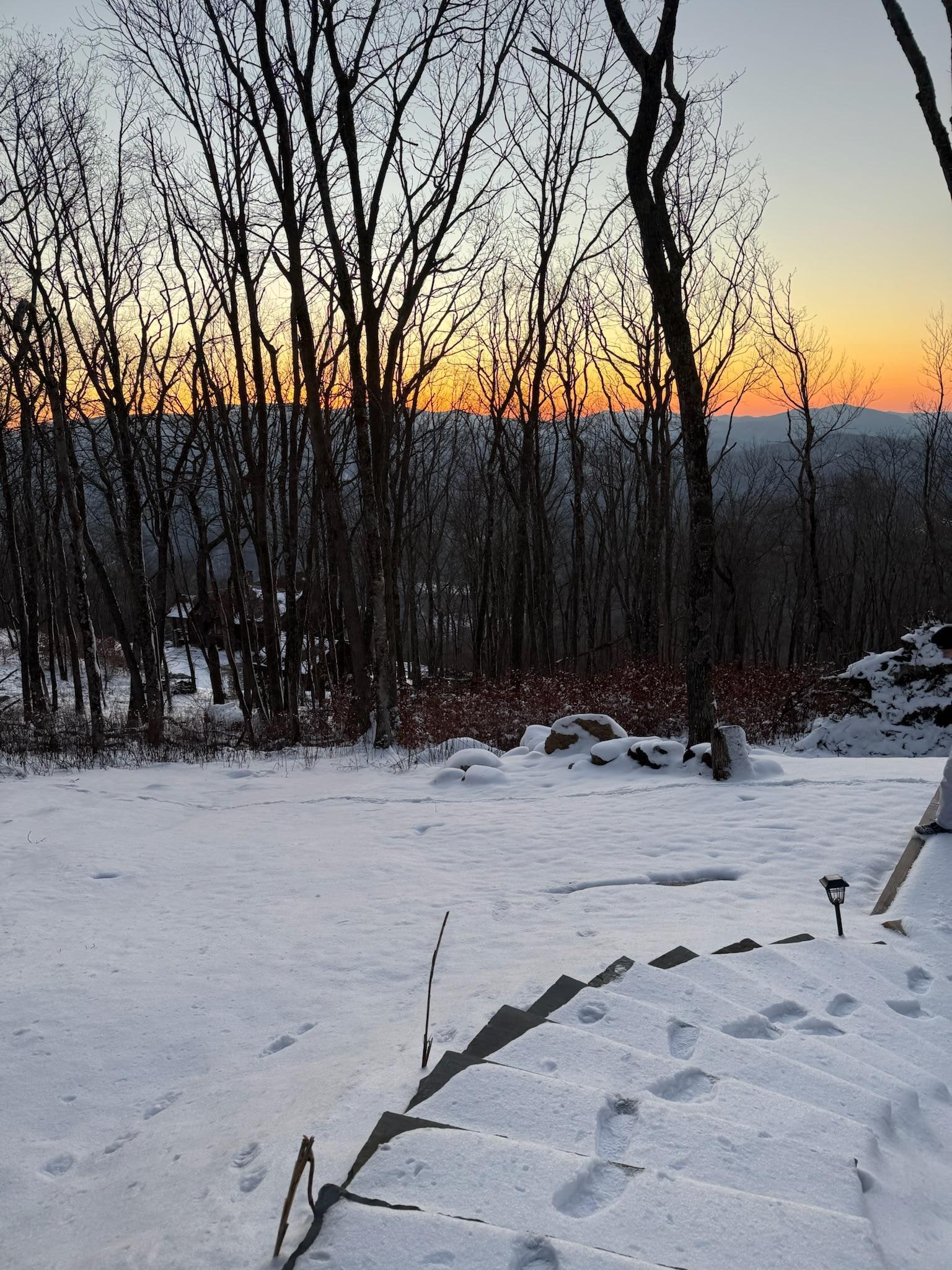 Steps to the fire pit, lots of snow when we arrived!