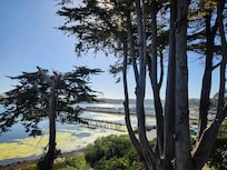 Views from upstairs deck.