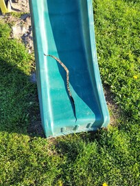 Rutsche hat auch ihre beste Zeit hinter sich