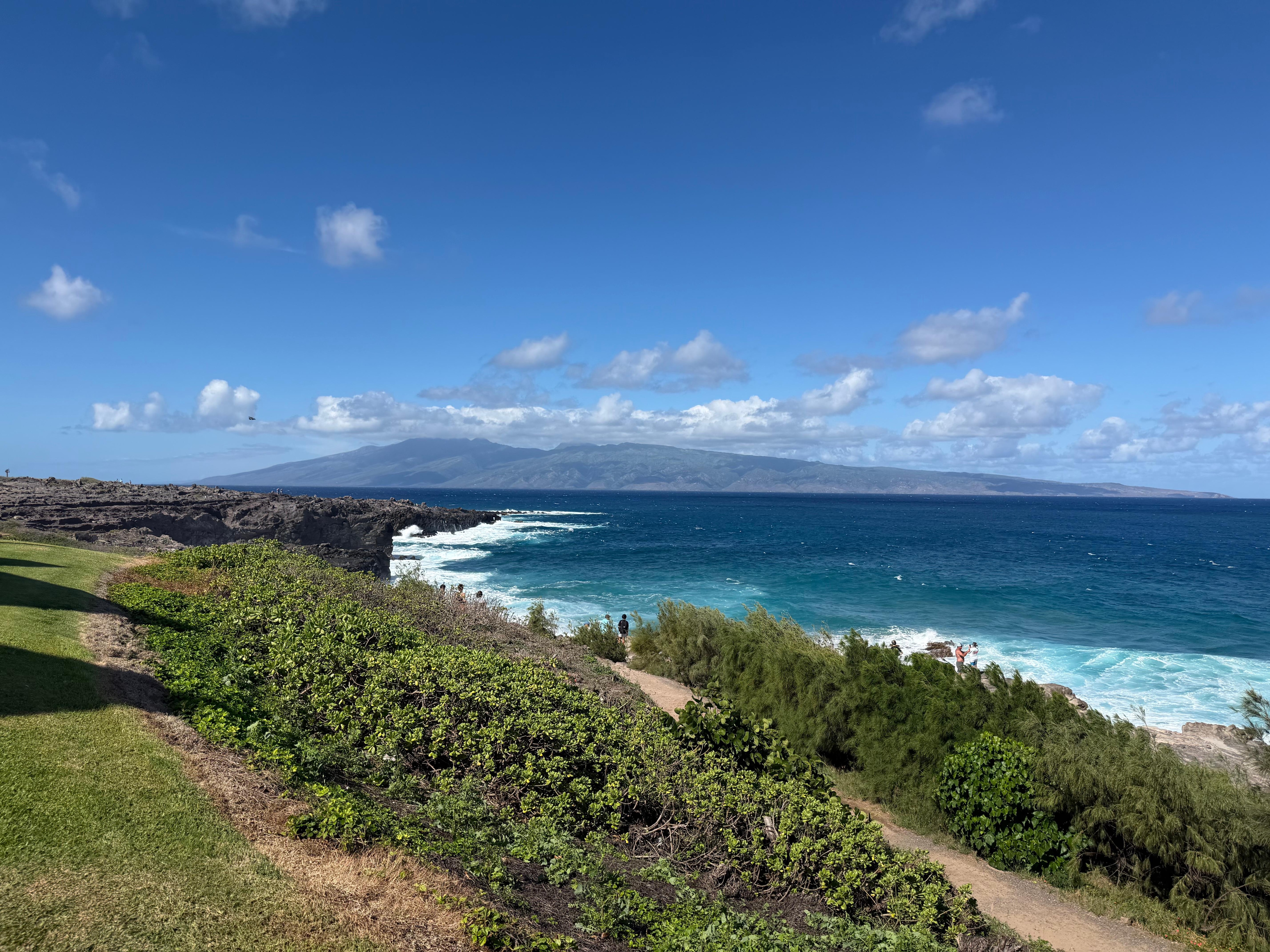 Trail right outside condo 
