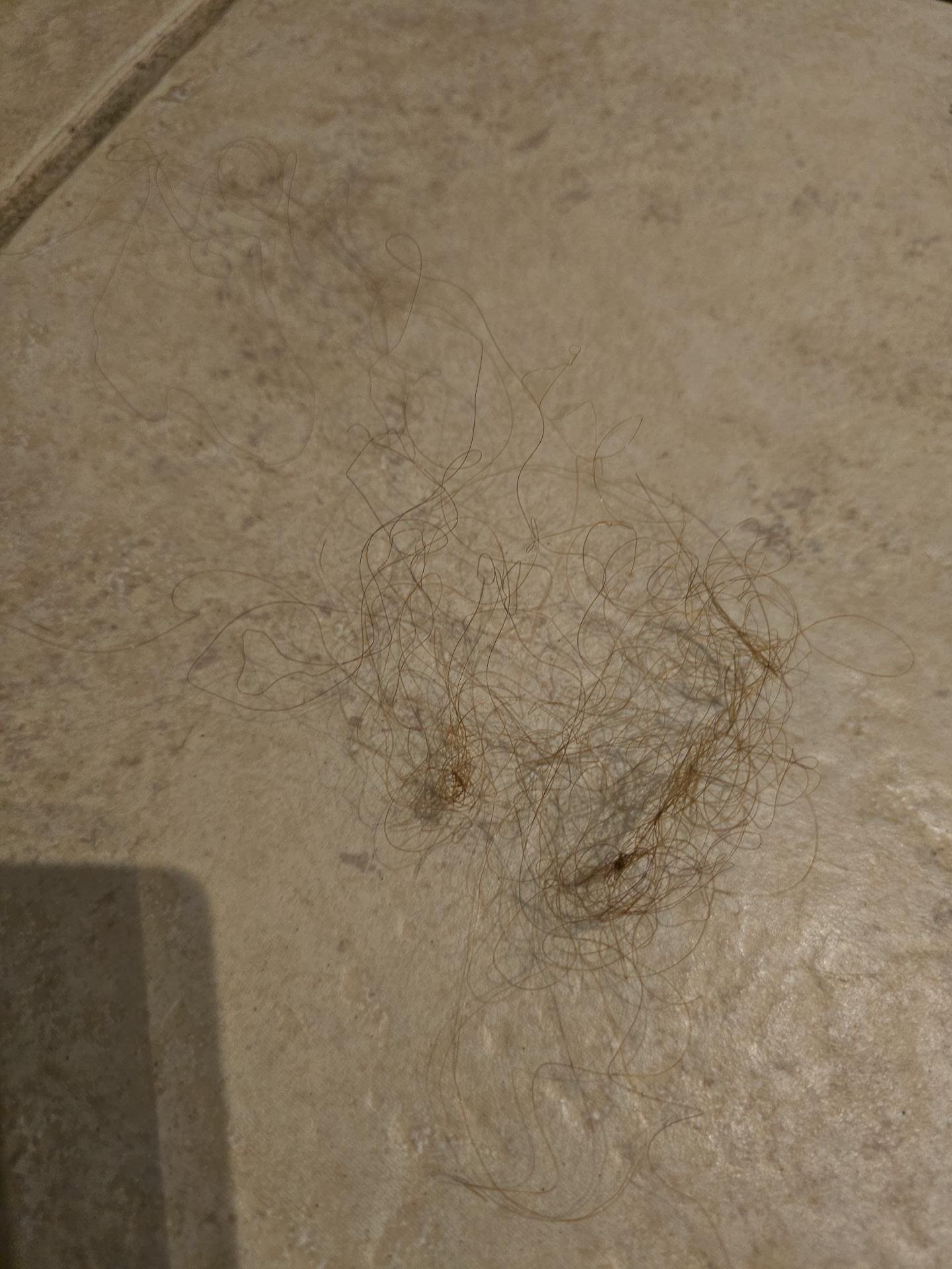 gross curly brown/red hair all over condo
