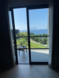 A large patio and great view