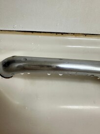 Black Mold bathtub edge