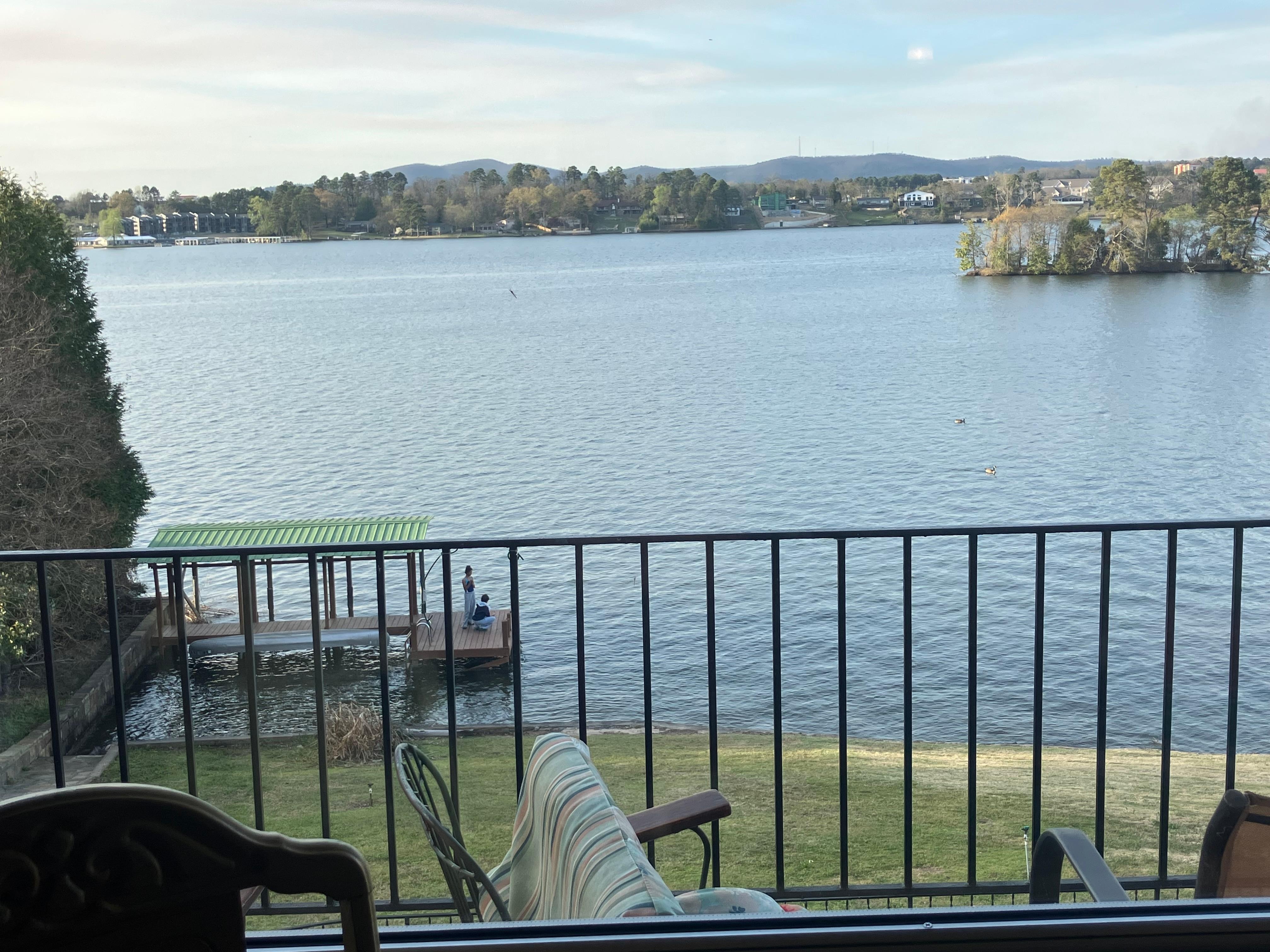 Lake Hamilton from  living riom