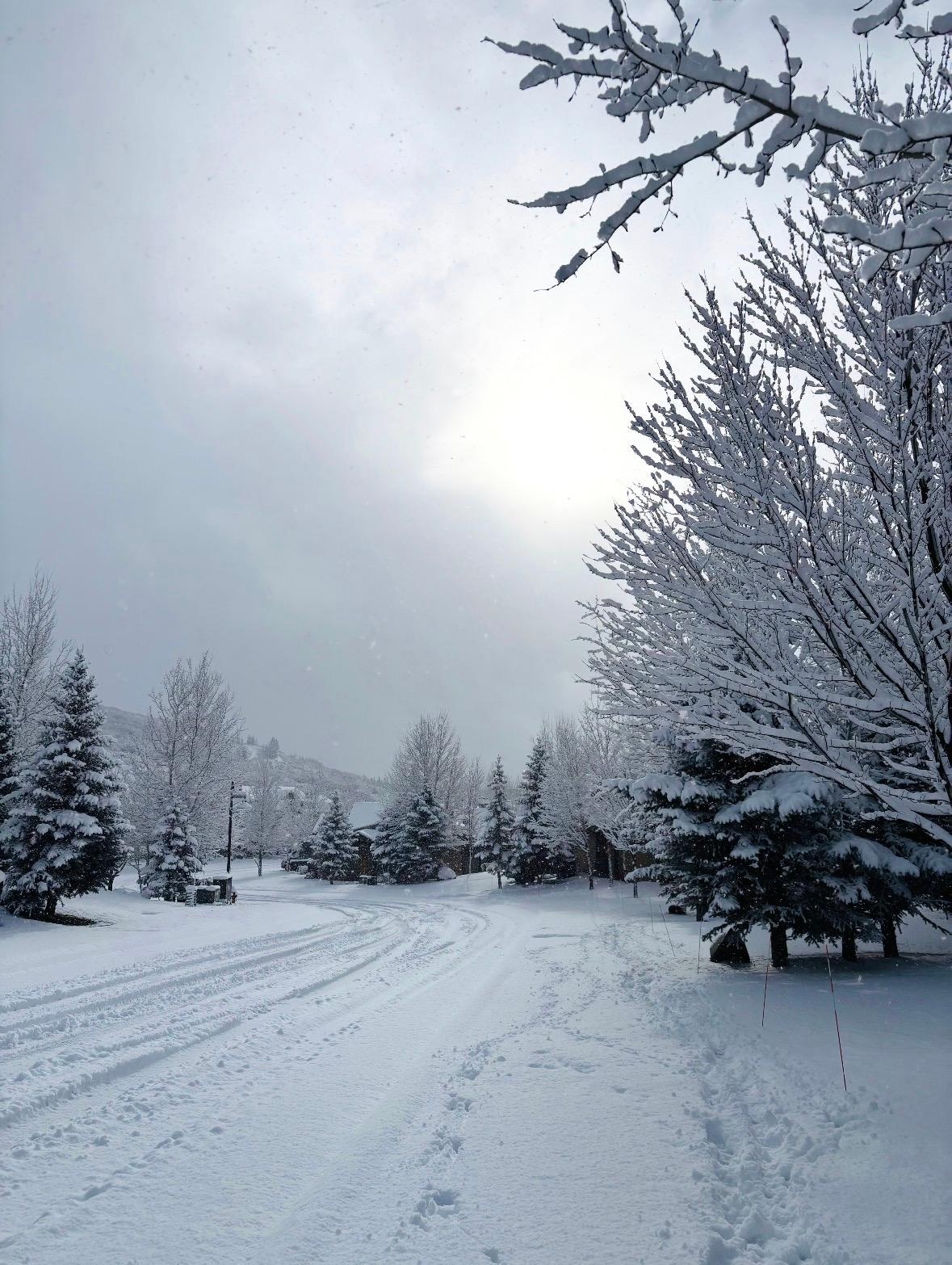 Our beautiful street during a snowfall. Streets, driveways and even sidewalks were completely cleared about an hour later. Amazing!