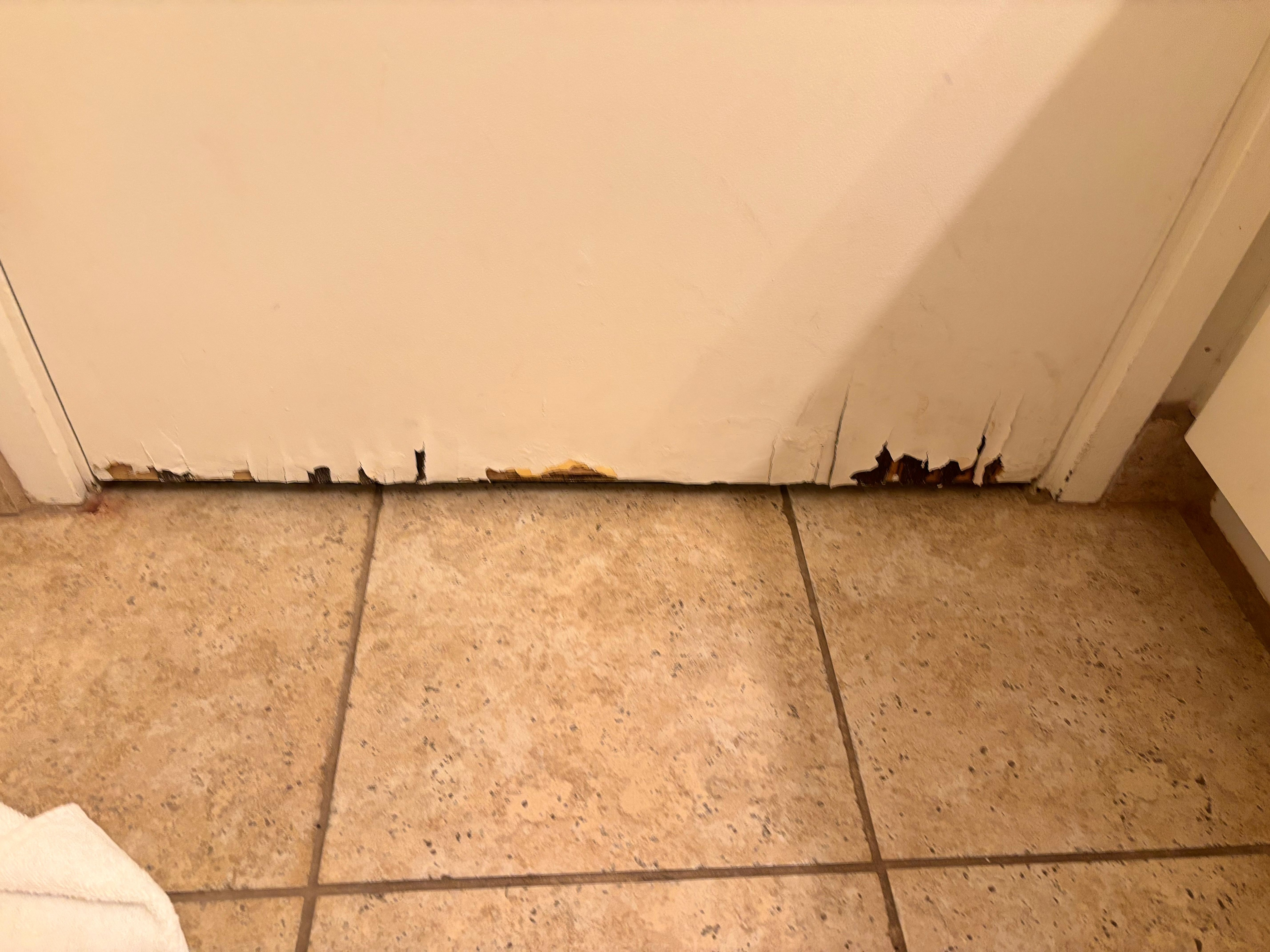 Bathroom damp and rotting door 