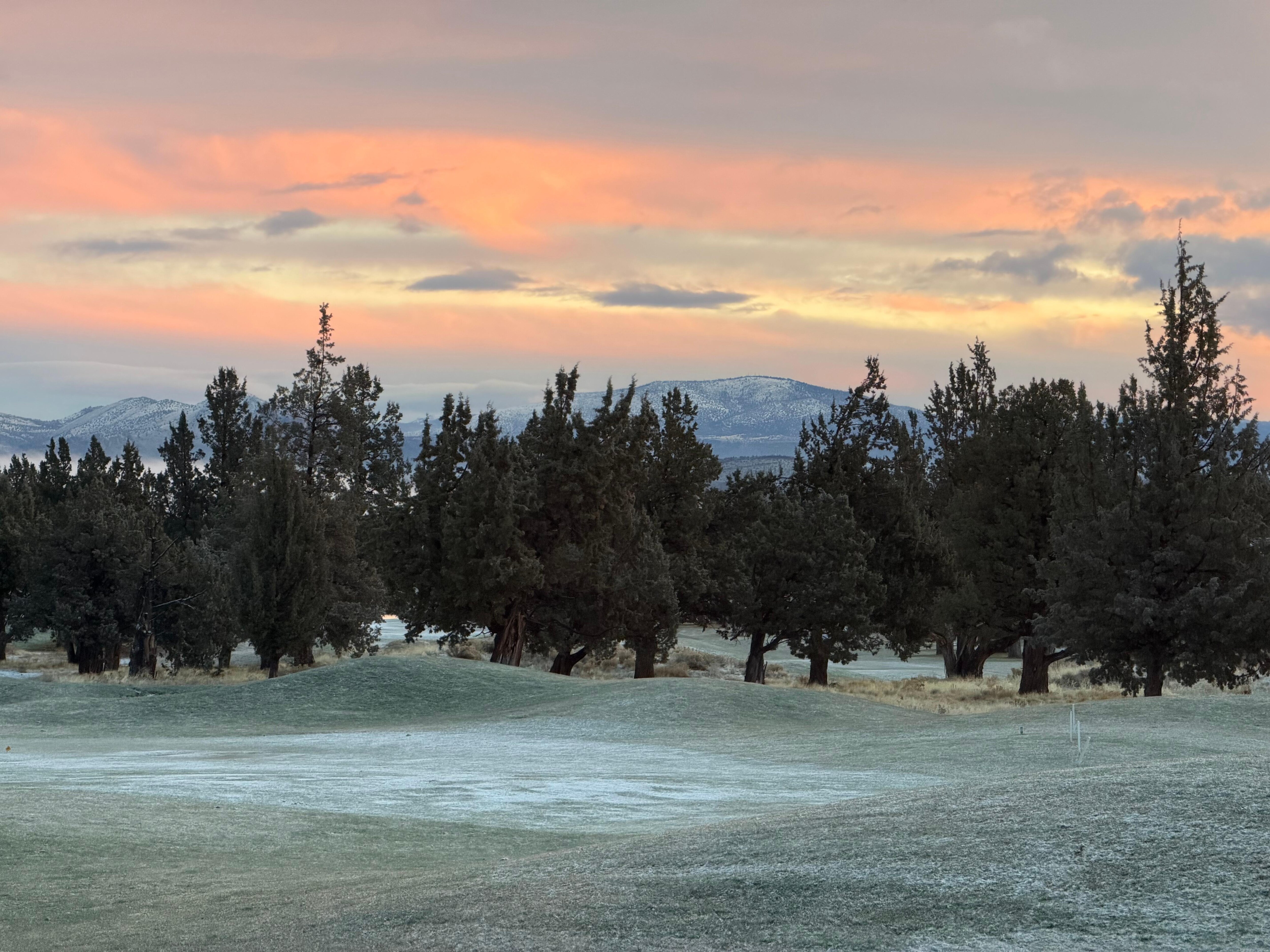 Morning view from the livingroom Christmas 2025