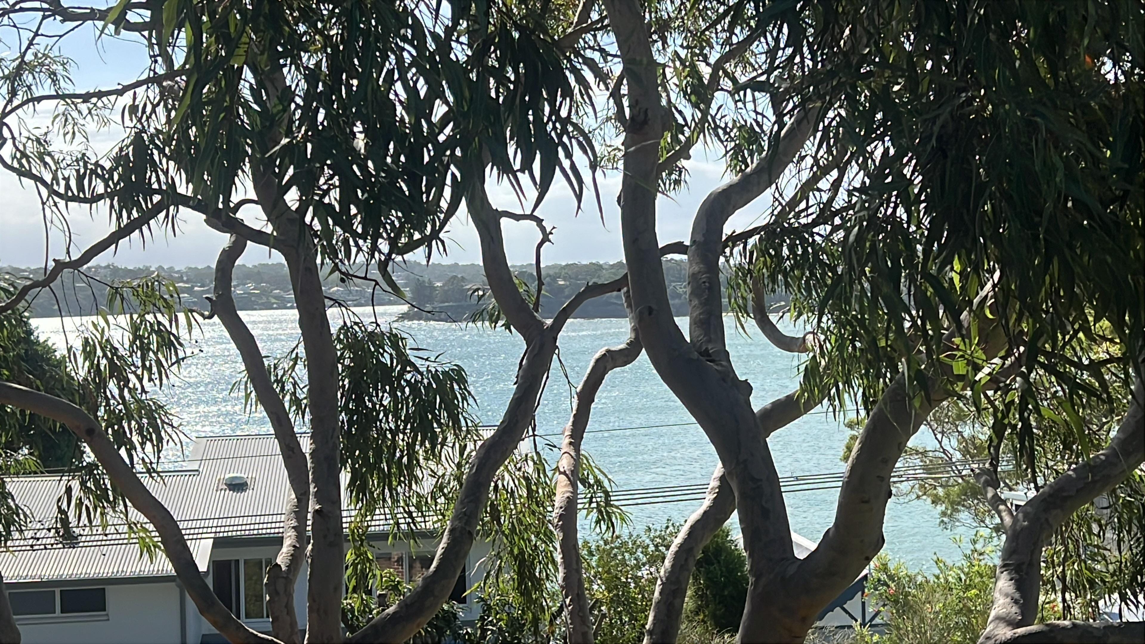 View from the balcony