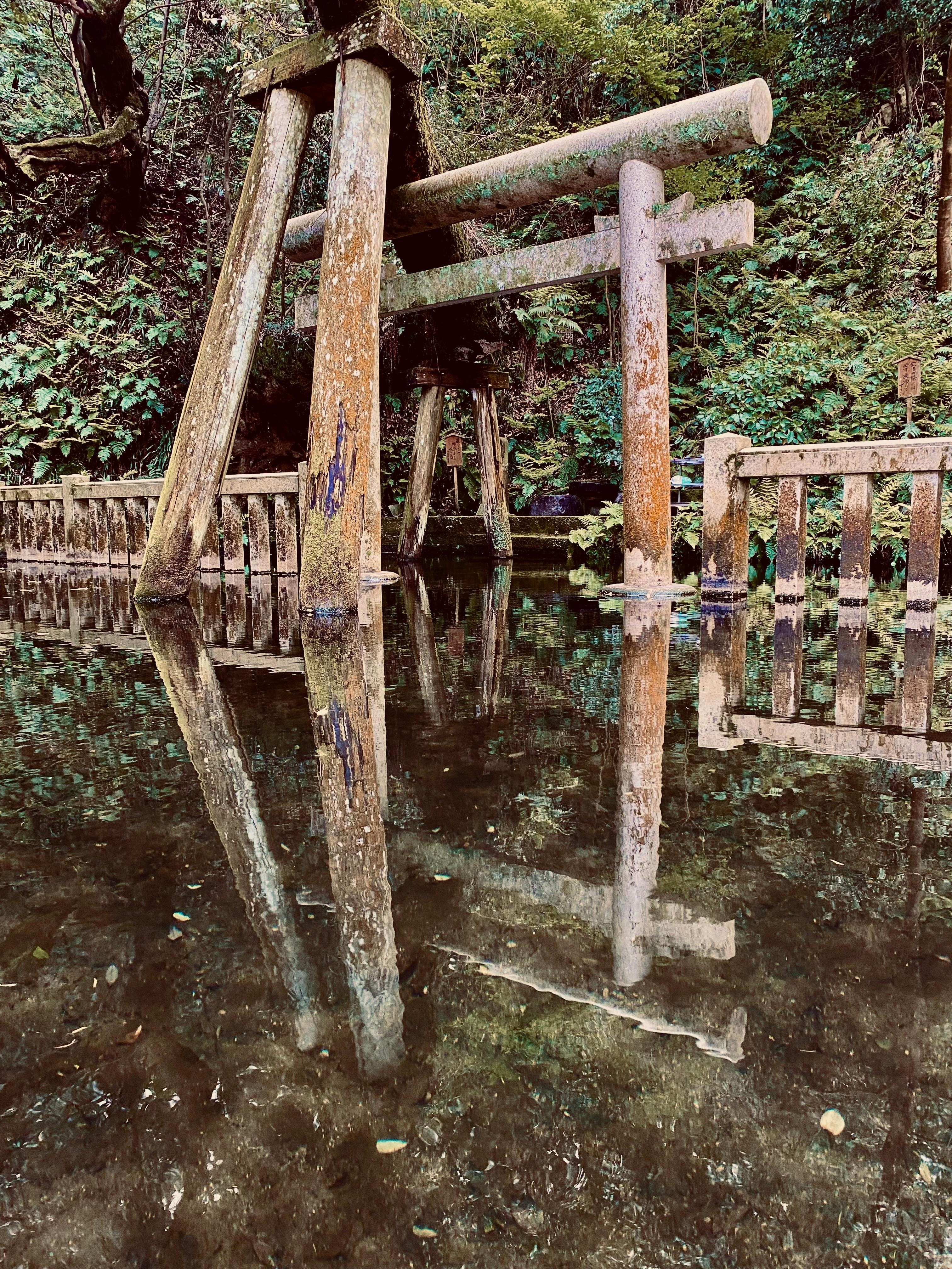 Koi pond Kashima