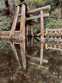 Koi pond Kashima