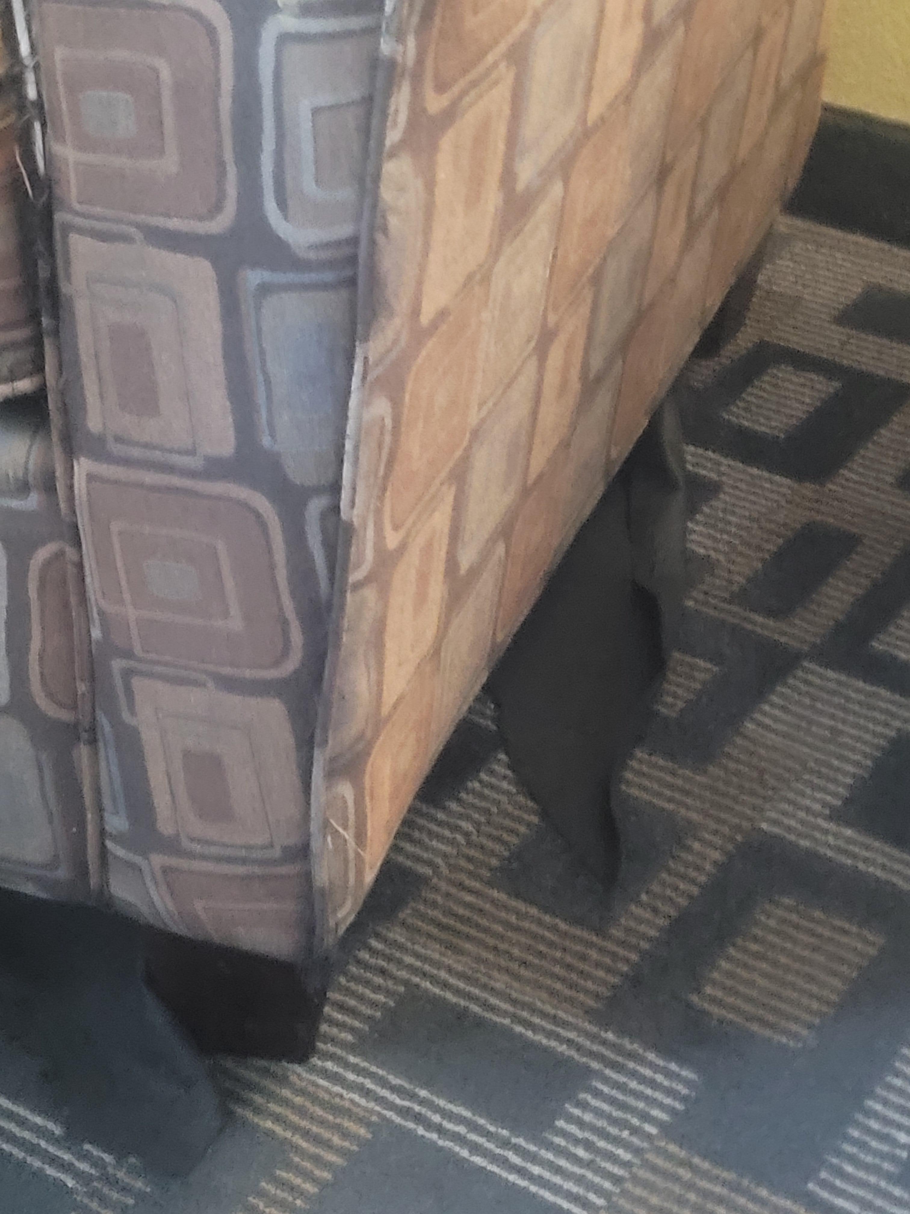 The furniture is old and Tearing apart 