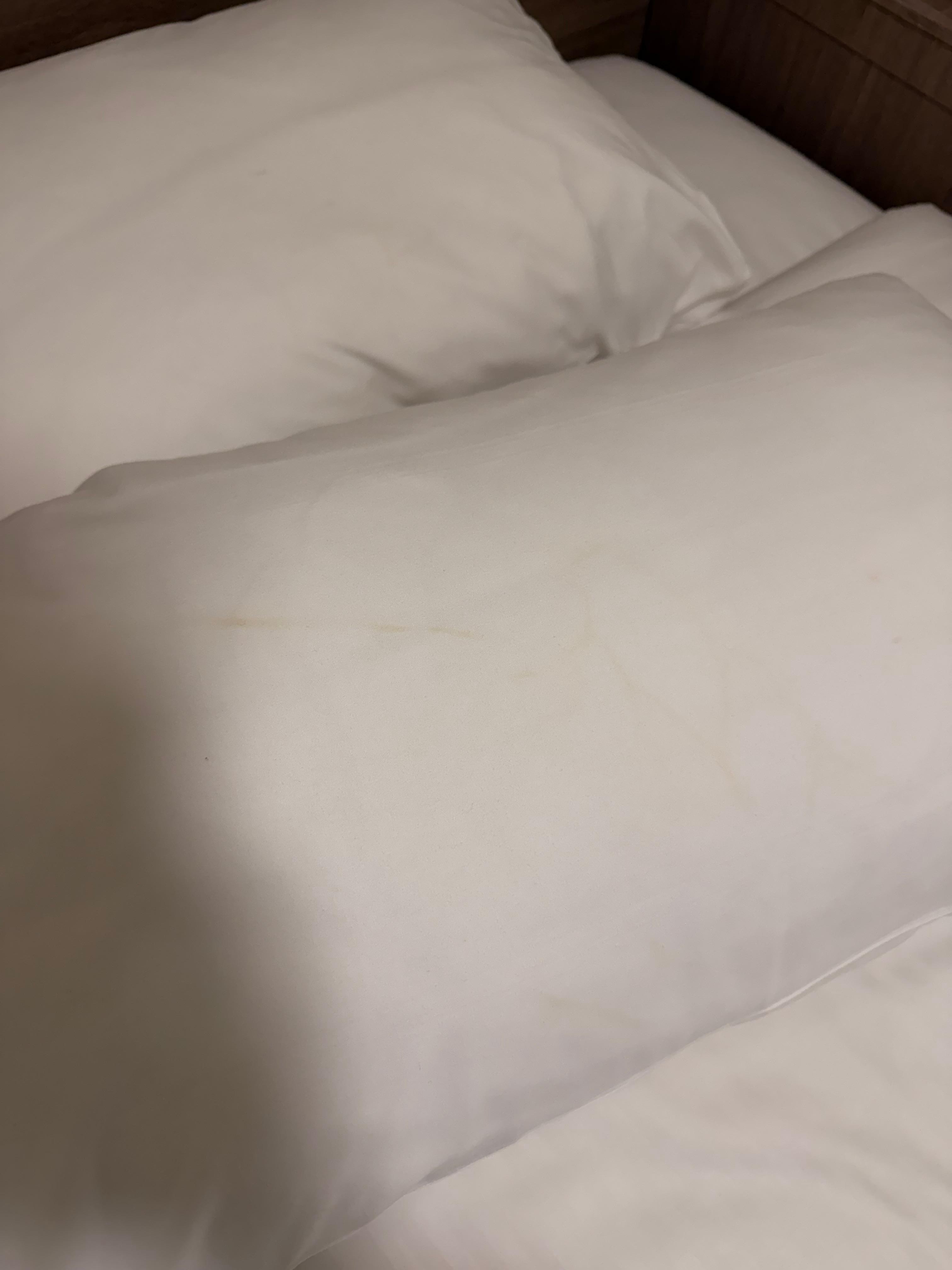 visible saliva stains