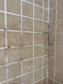 Schimmel und Verschmutzungen in der Dusche