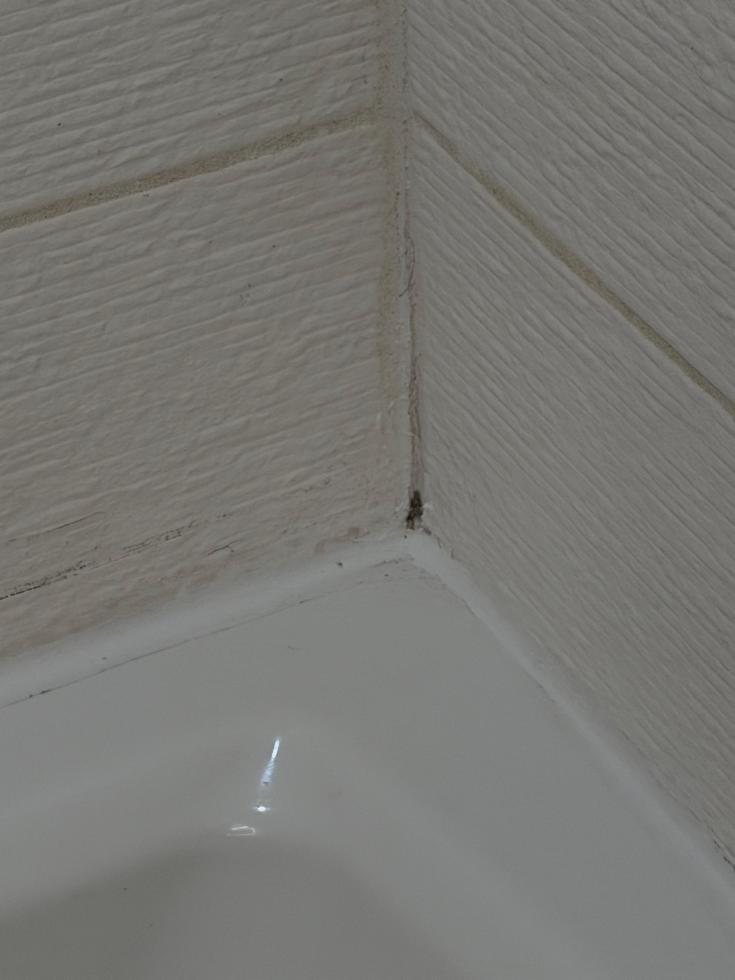 Tub had some mold or dirty. I had just checked in. 