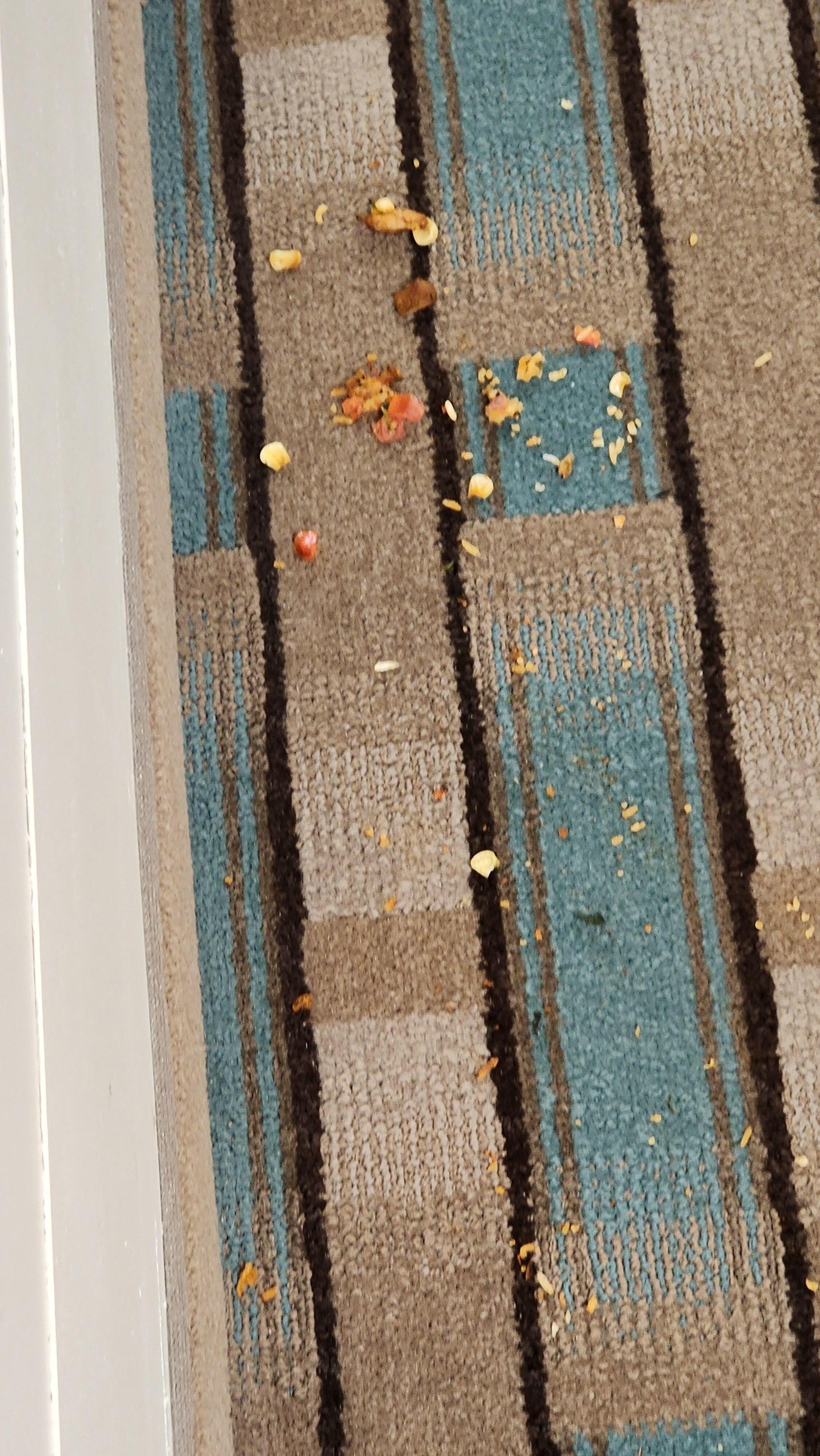 outside our room looks like food or dry vomit