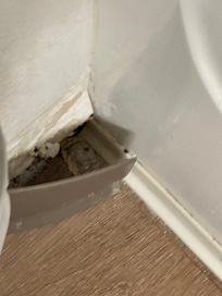 Hole in the bathroom wall
