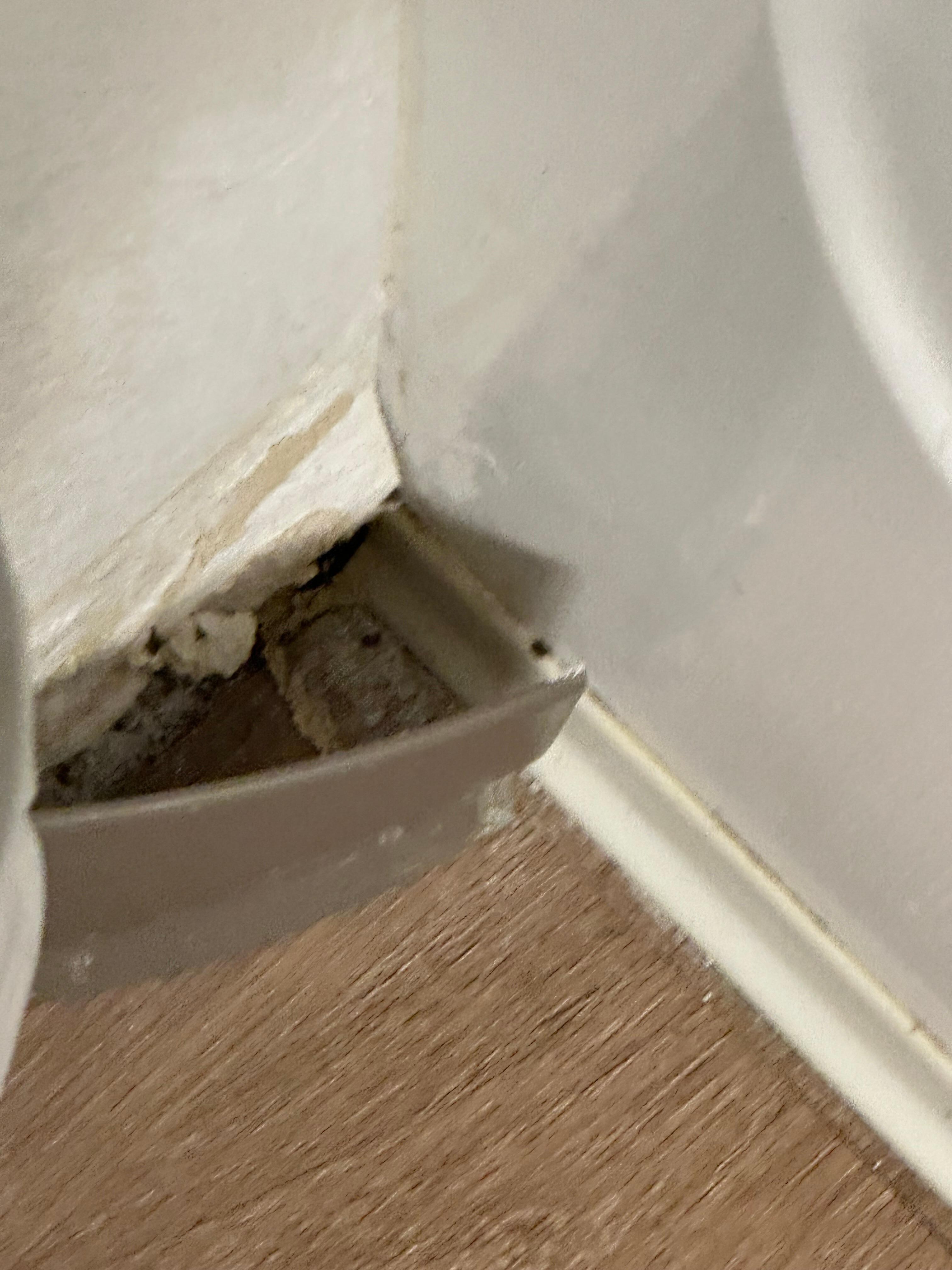 Hole in the bathroom wall