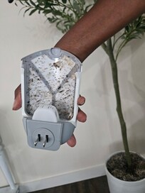 Zevo trap not changed out