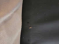 Opened up the couch to pull out bed and found mouse feces and other crap.