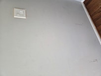 Painting needs throughout the house