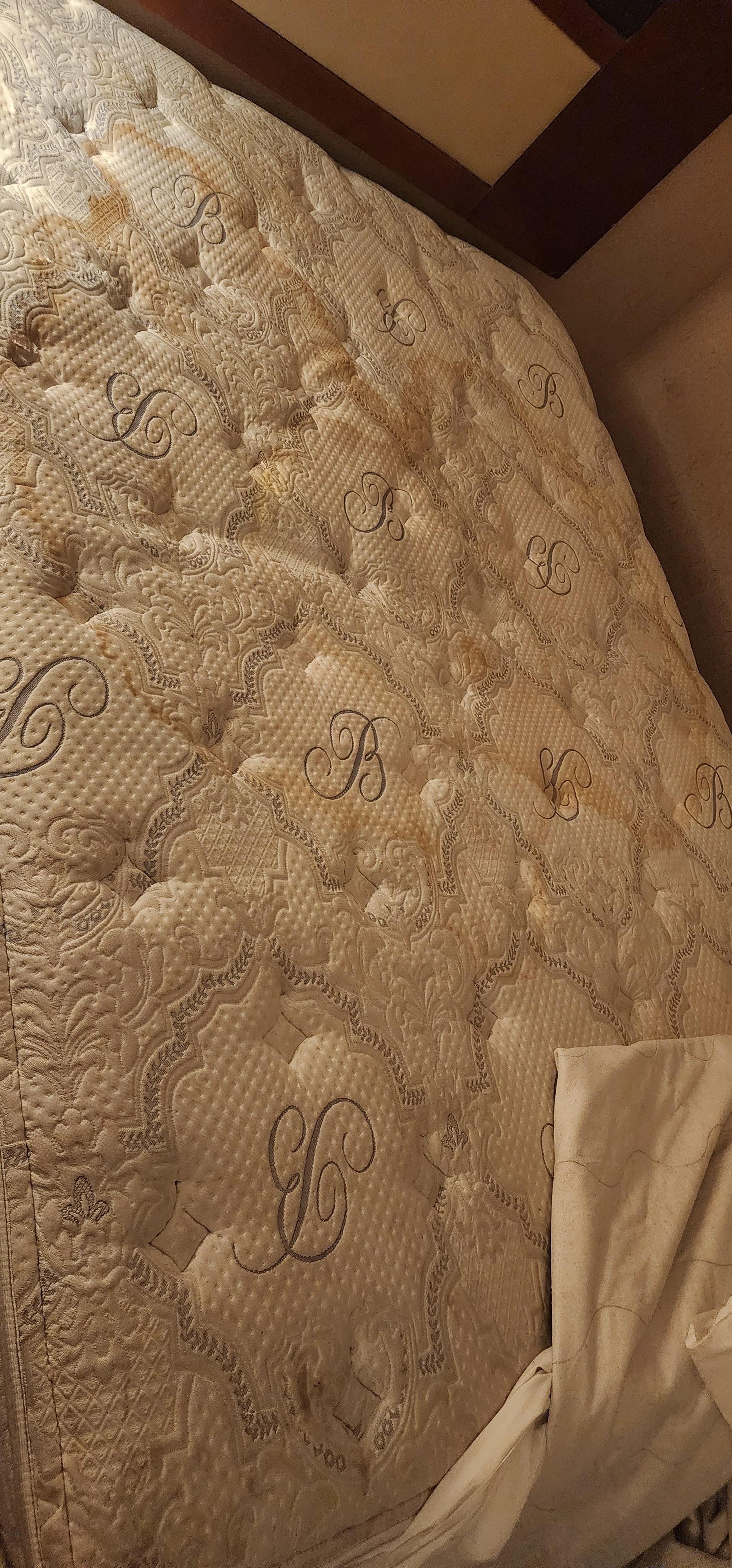 STAINED, FILTHY, UNACCEPTABLE,  UNHEALTHY 