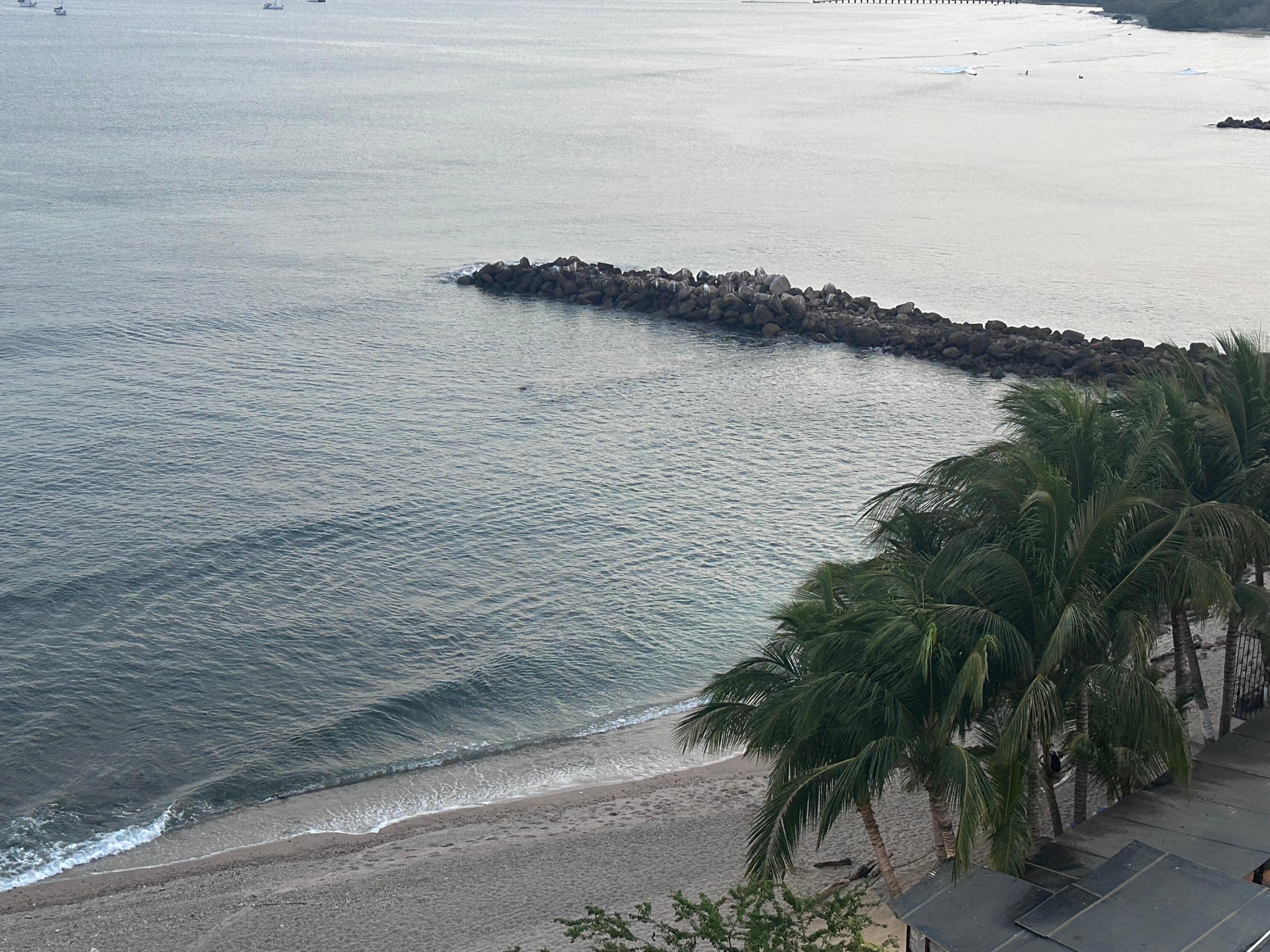 View from the rooftop 