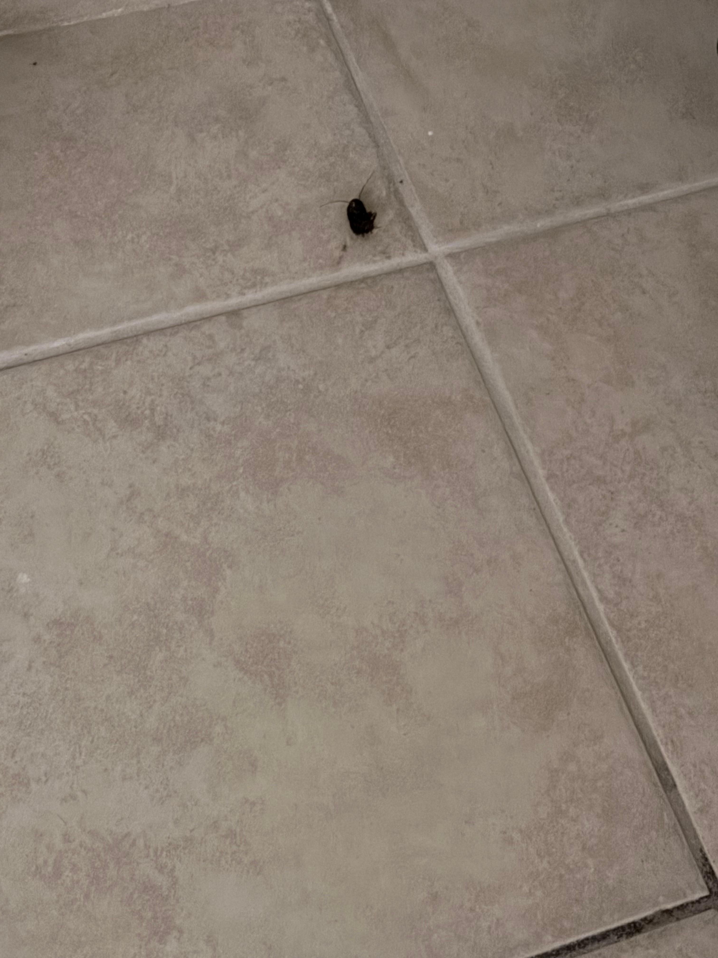 Dead bug in entry 