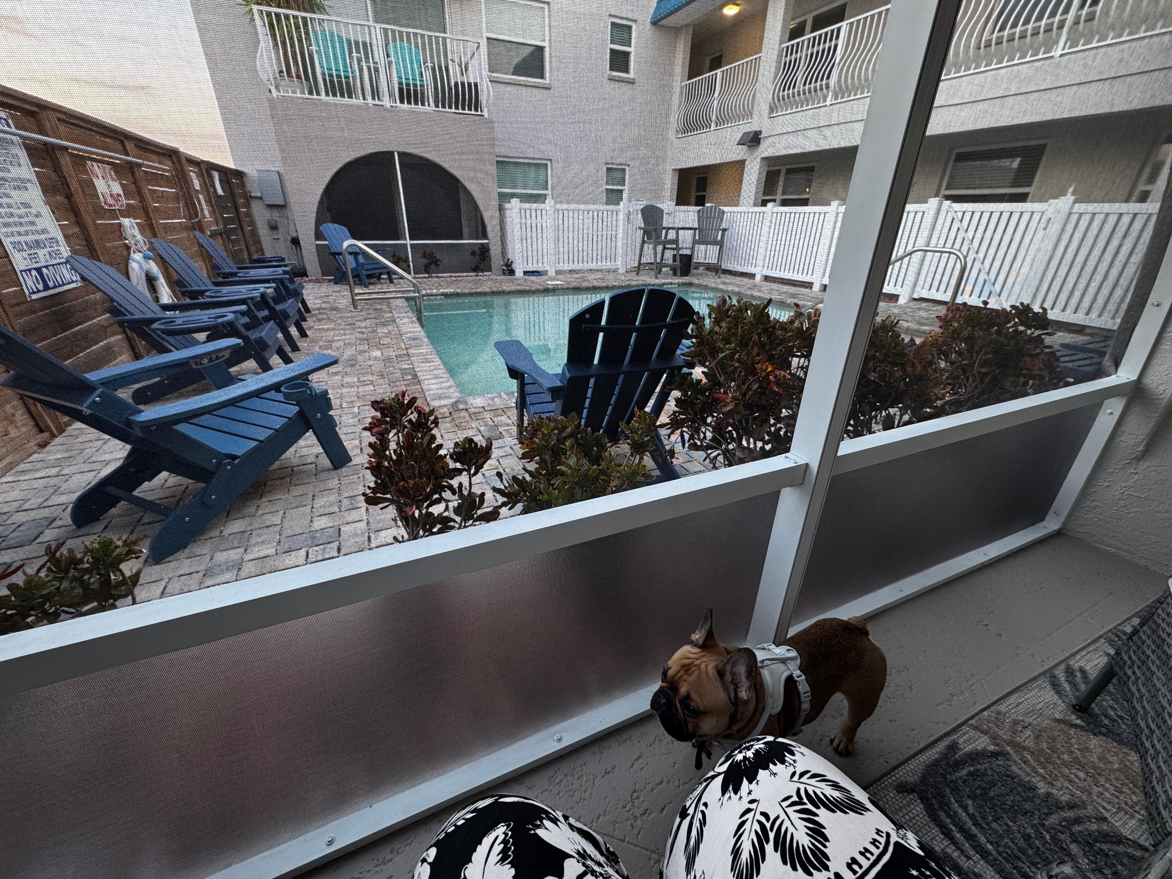 Perfect location for pool access and easy walk to a park for the dog! 