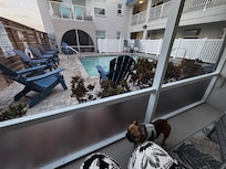 Perfect location for pool access and easy walk to a park for the dog!