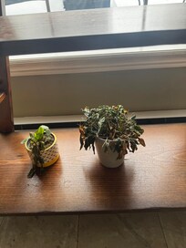 General uncared main area