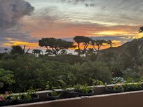 View from the room