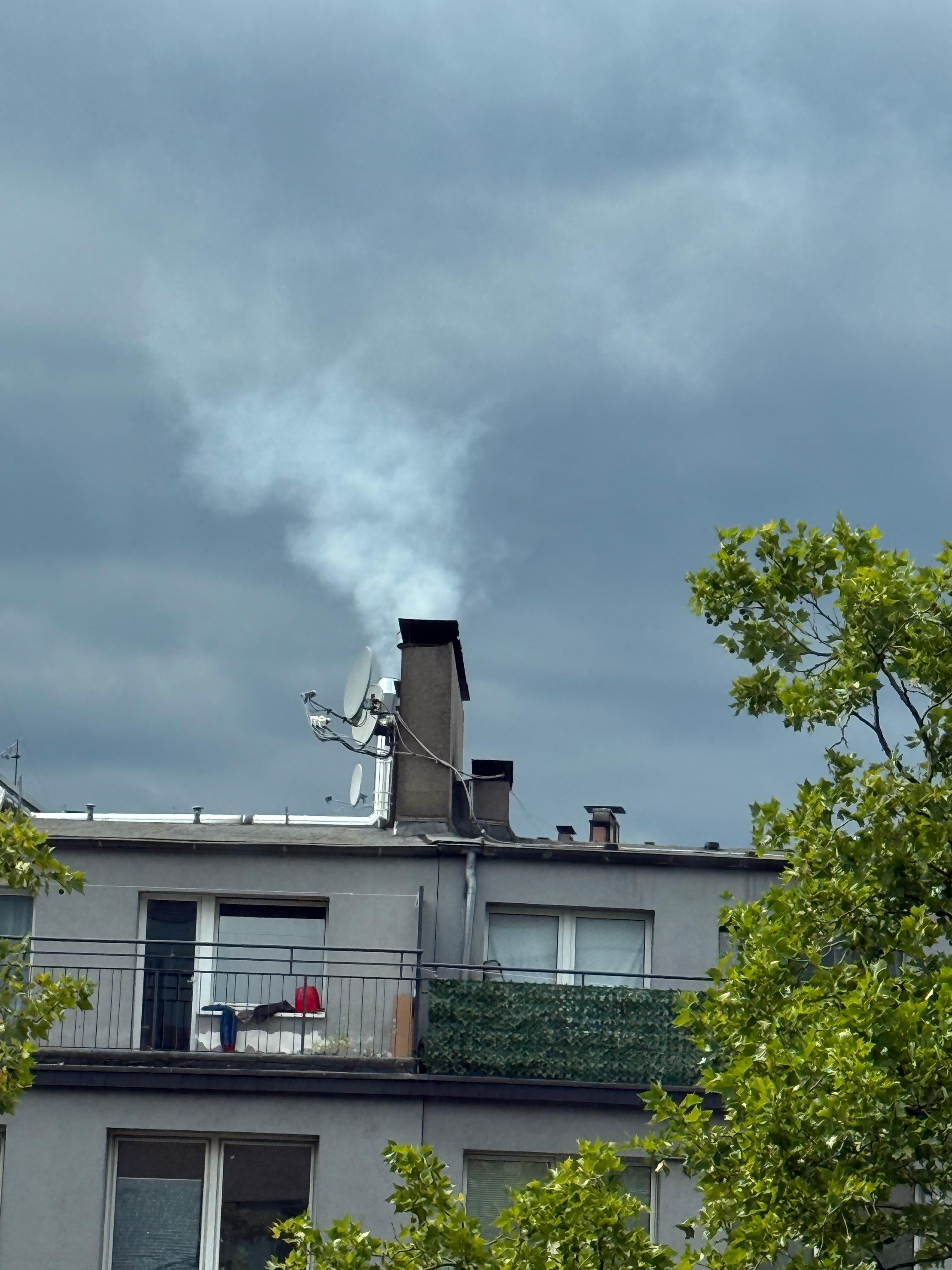 Qualmender Kamin des Restaurant 