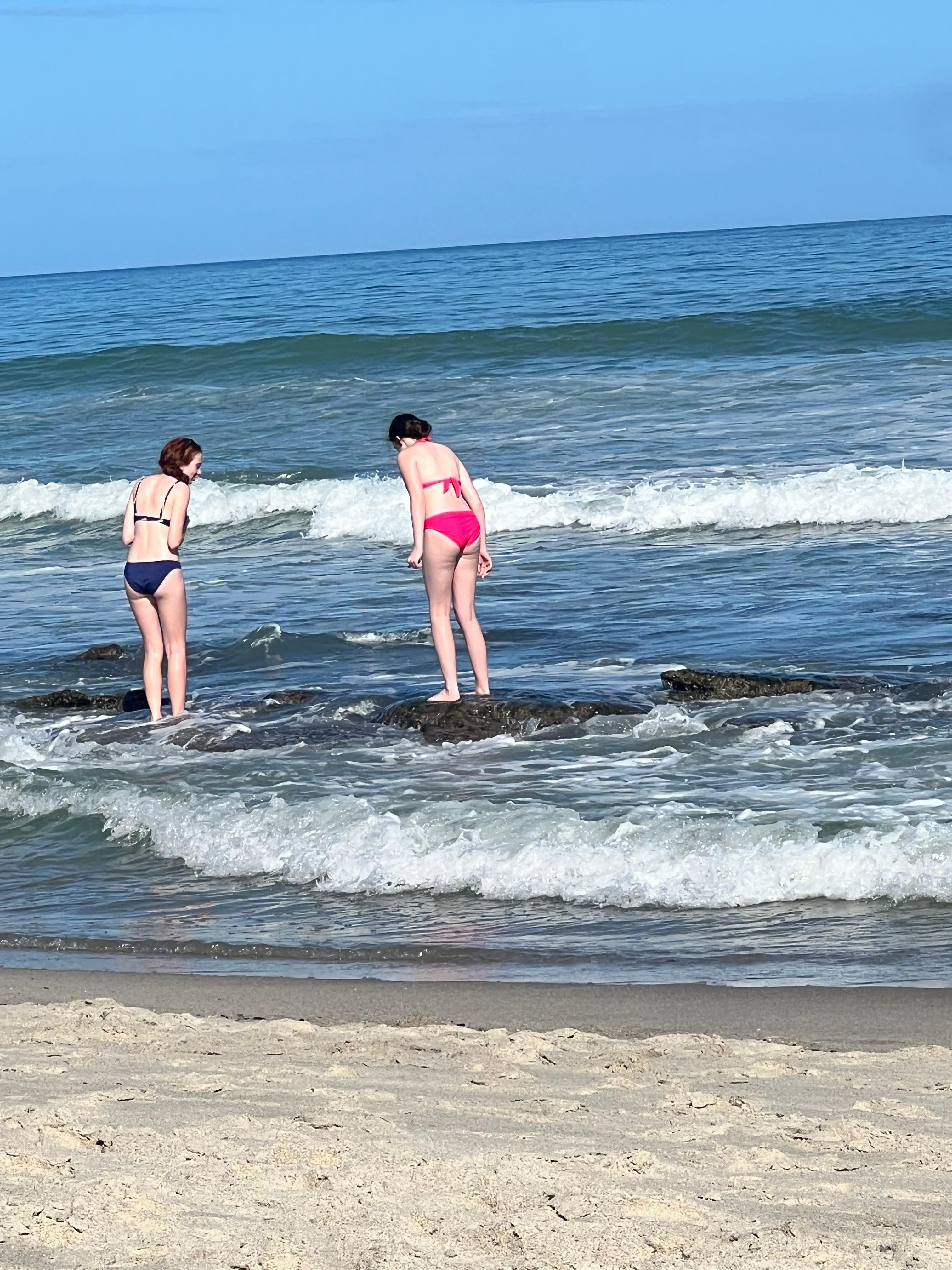 Tide pools to look for shells.