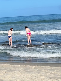 Tide pools to look for shells.