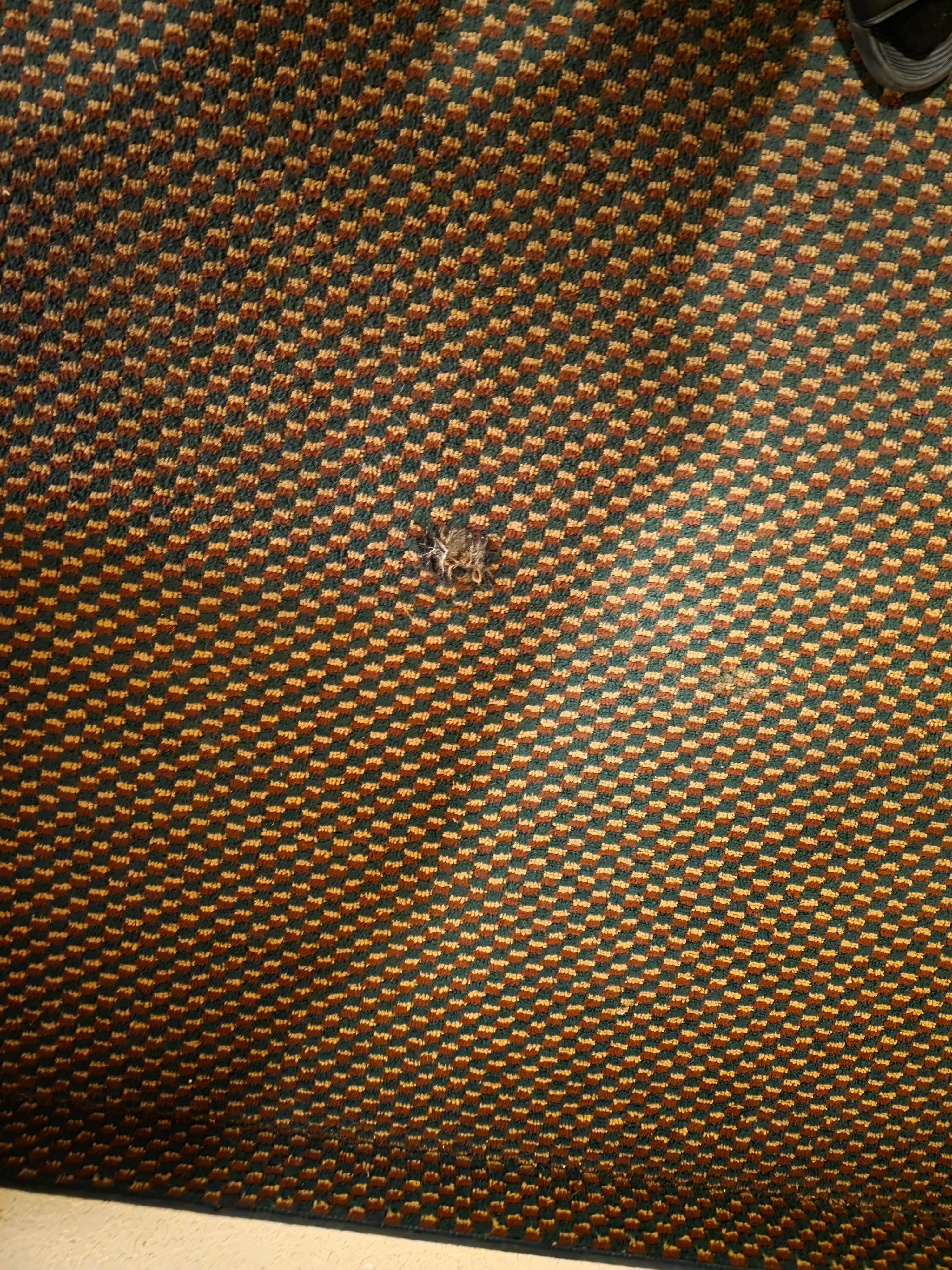 Hole in the nasty carpet