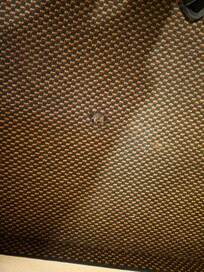 Hole in the nasty carpet