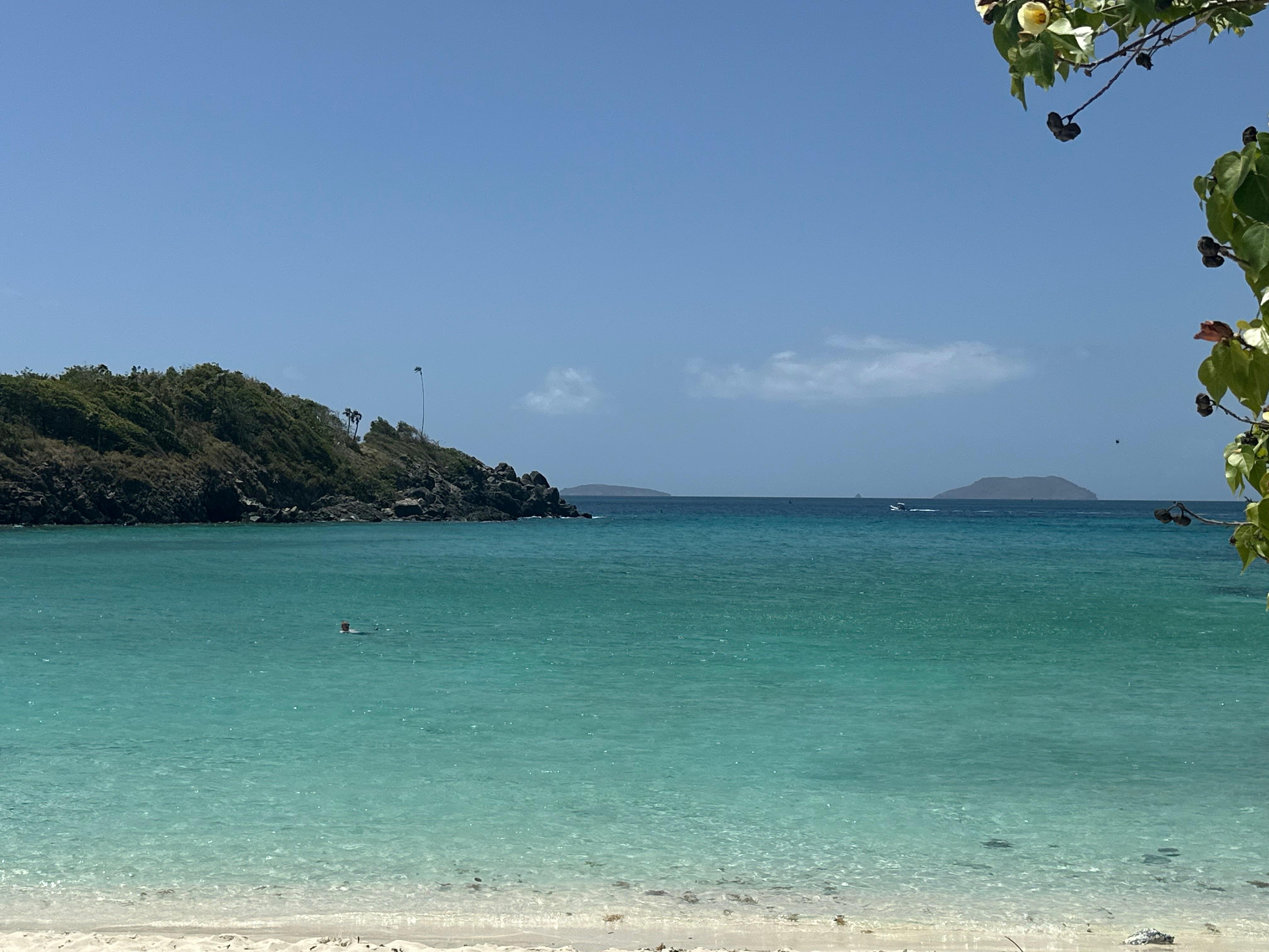 Maho Beach - sea turtles 🐢 