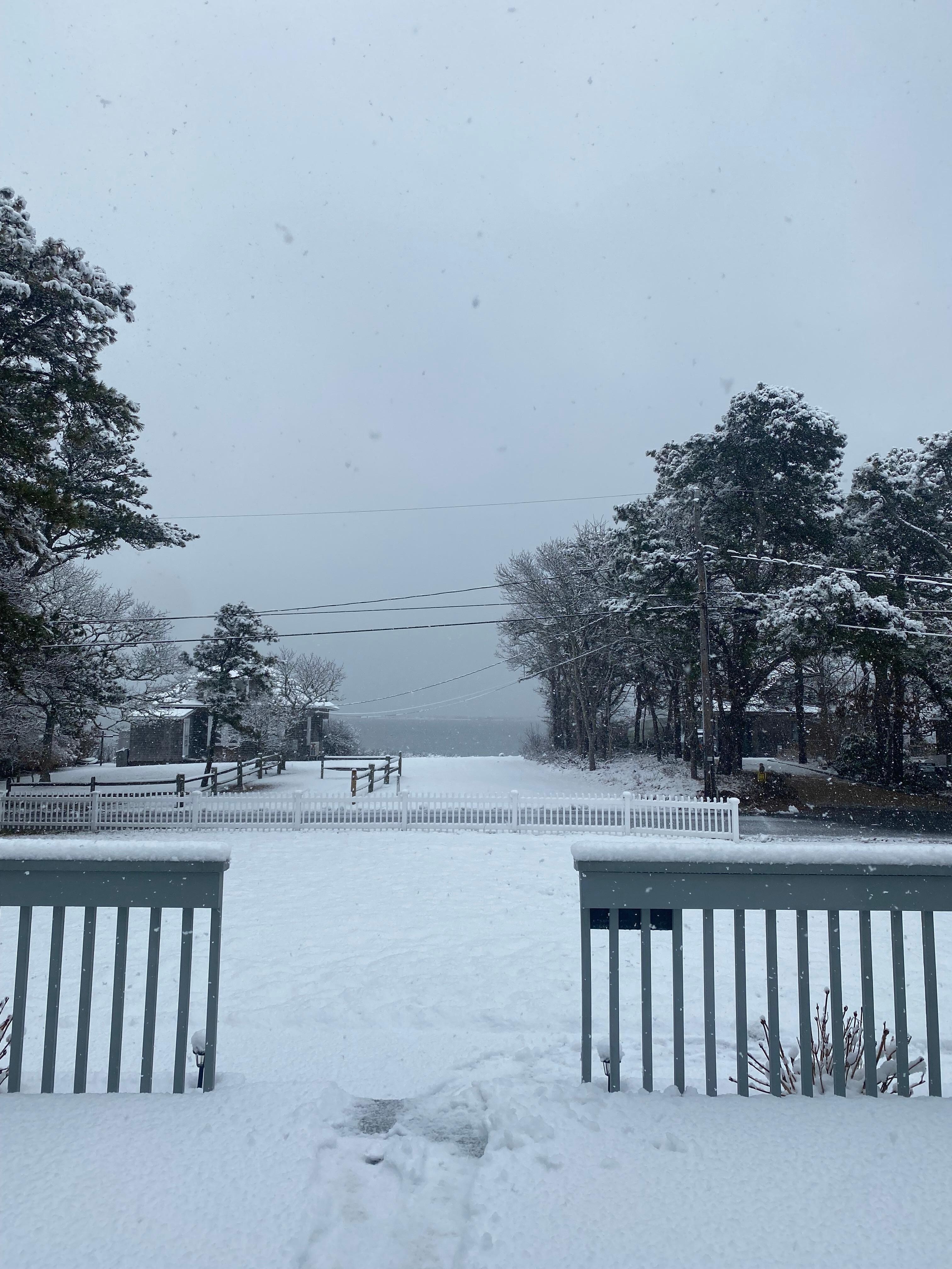 First snowfall of the season. View out the front door. Beautiful!! 